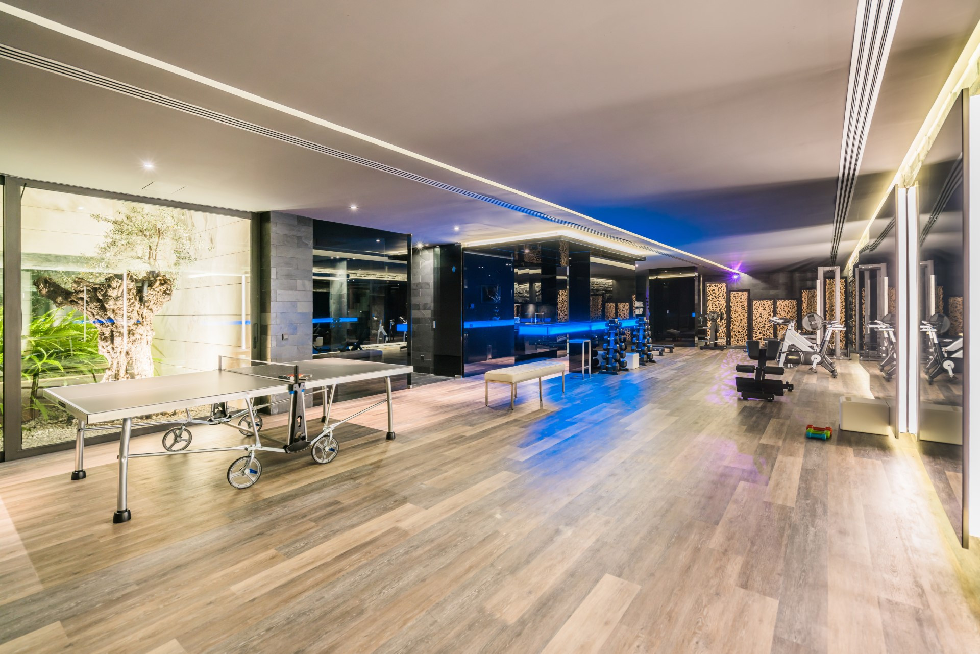 Breathtaking cutting edge design, modern villa in Cascada de Camojan