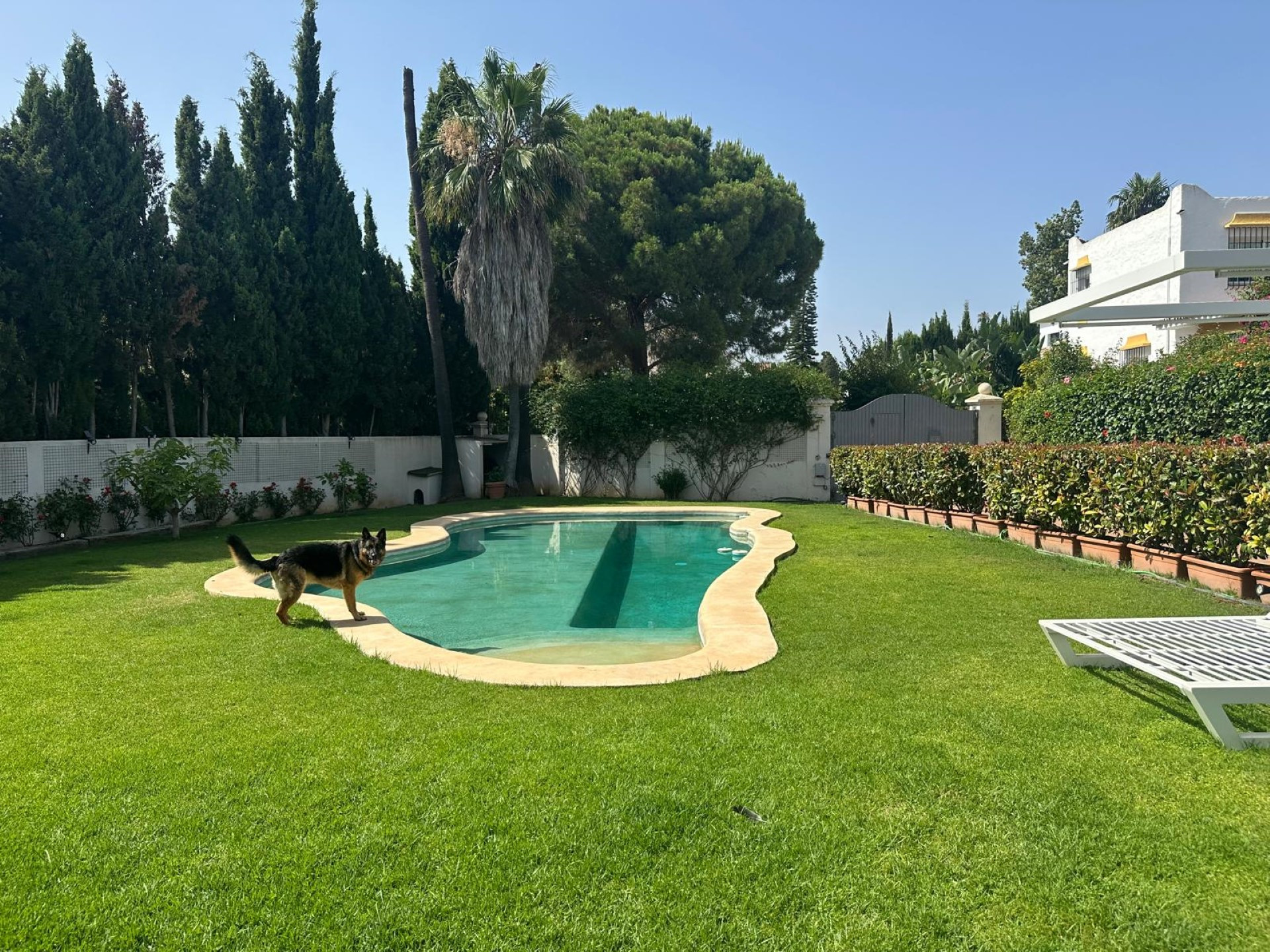 Exceptional frontline golf 5-bedroom villa in Guadalmina Alta