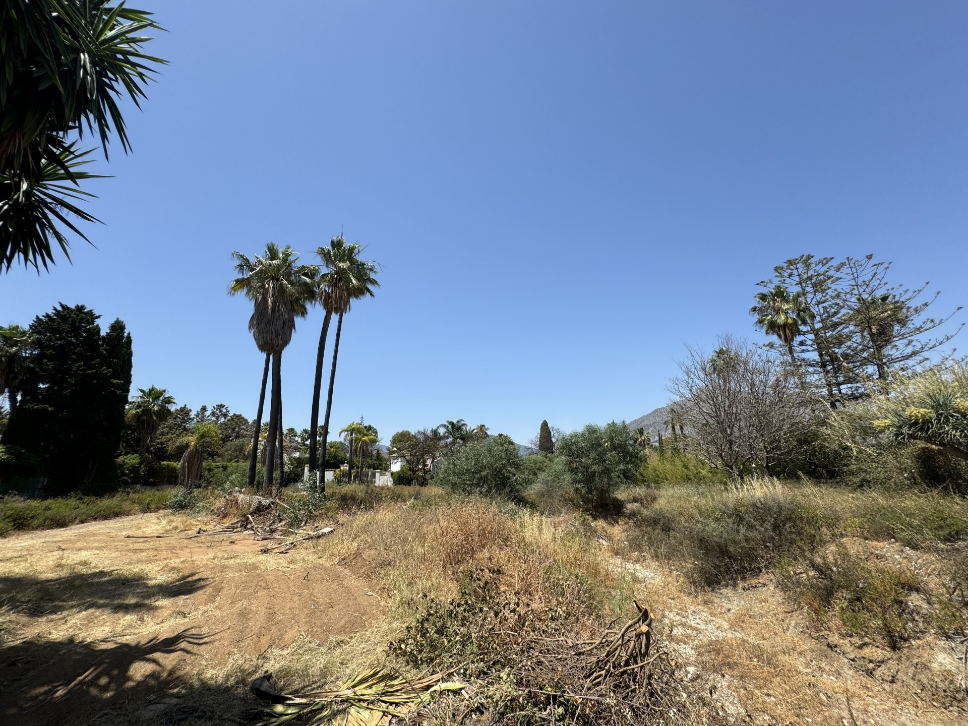 Parcela para Villa independiente en Atalaya de Rio Verde, Nueva Andalucia