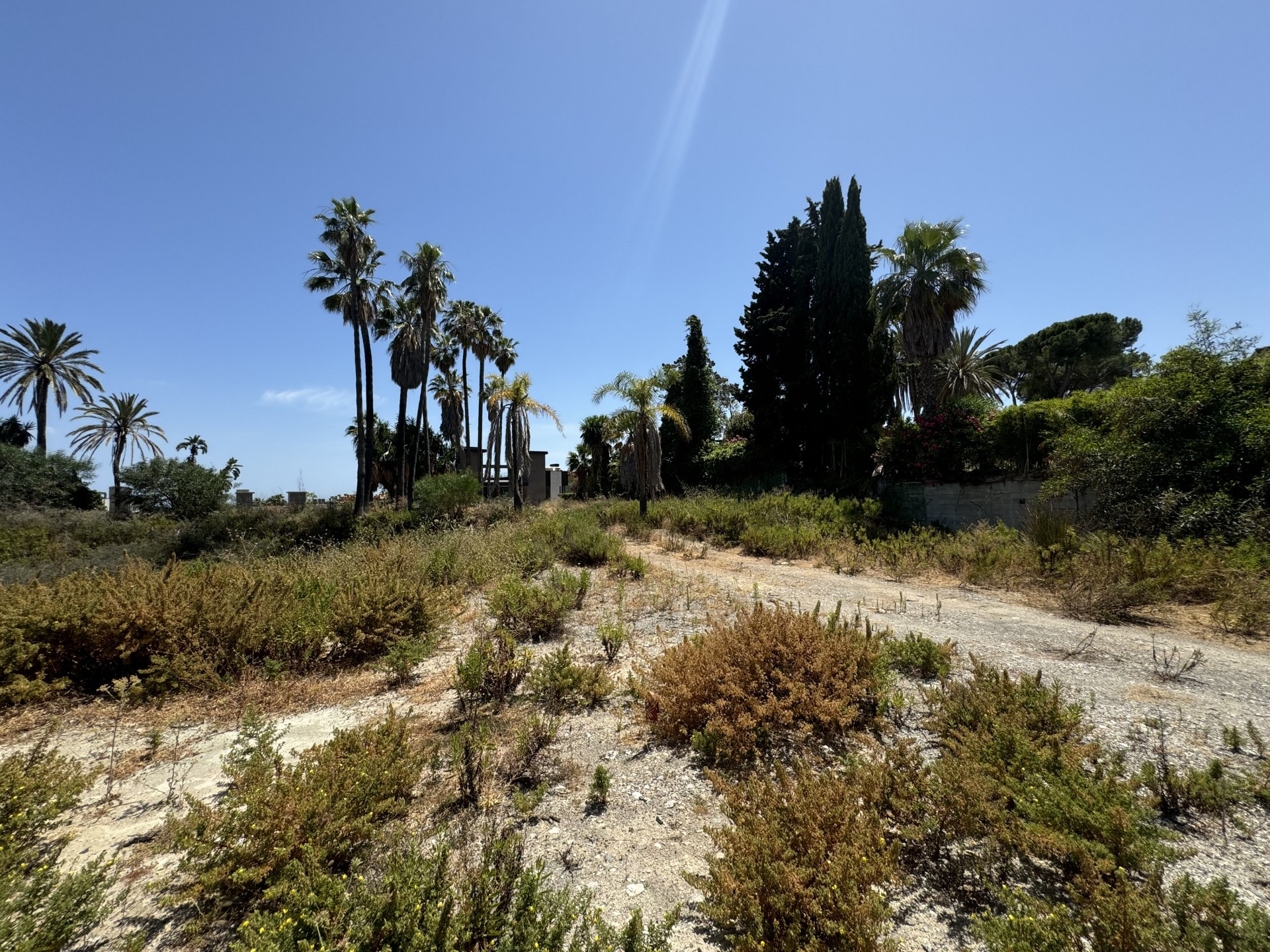 Parcela para Villa independiente en Atalaya de Rio Verde, Nueva Andalucia