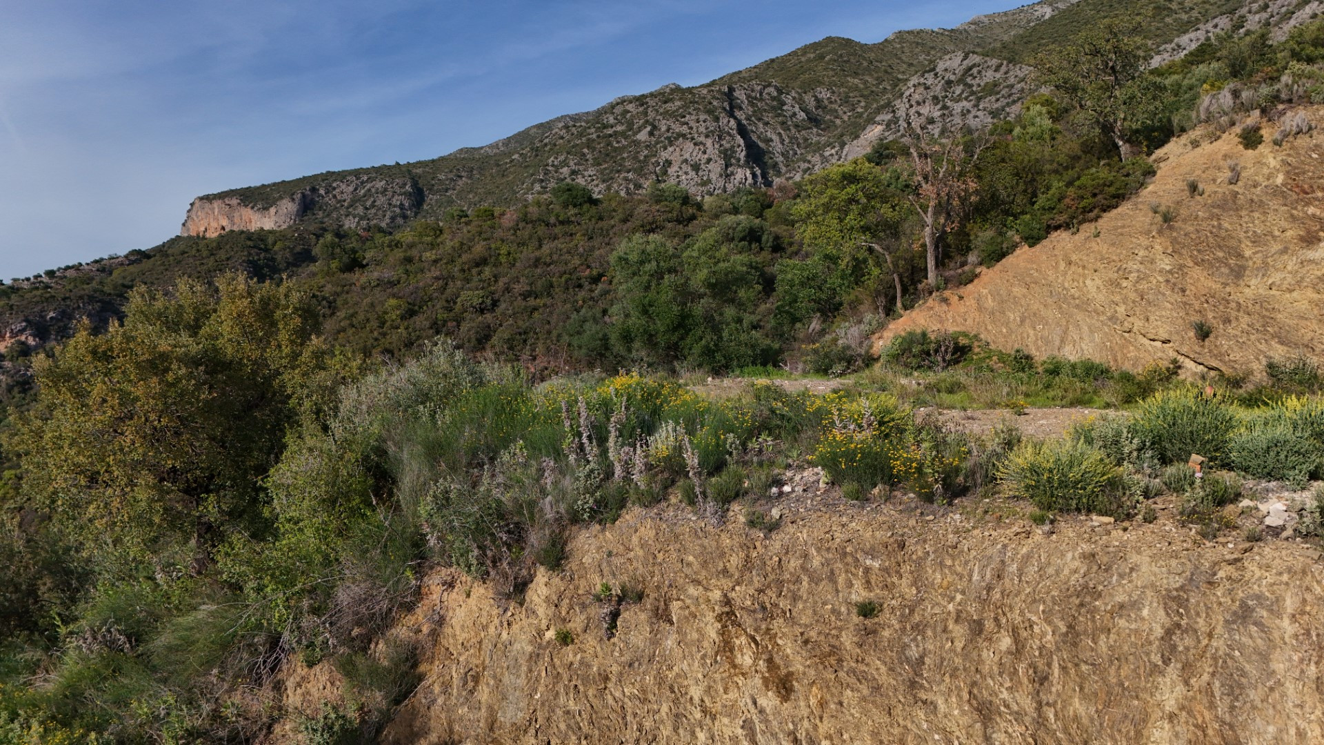 Parcela de primera con planos de construcción y licencia de obra en Sierra Blanca Country Club