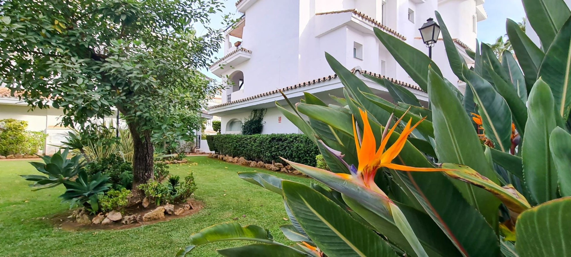 Refurbished groundfloor apartment in Los Naranjos de Marbella, Nueva Andalucia