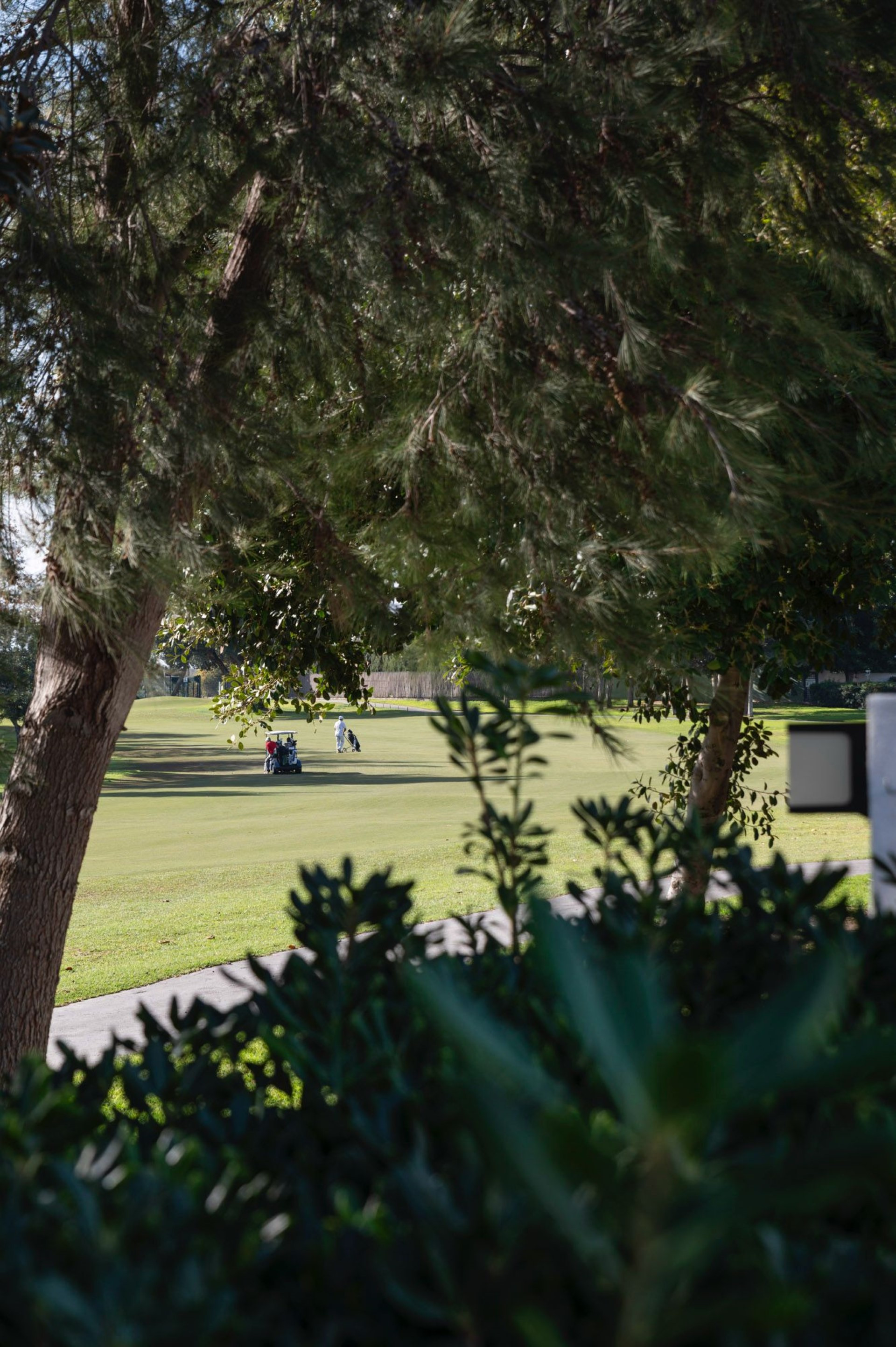 Luxury frontline golf villa on 1 level in Guadalmina Alta