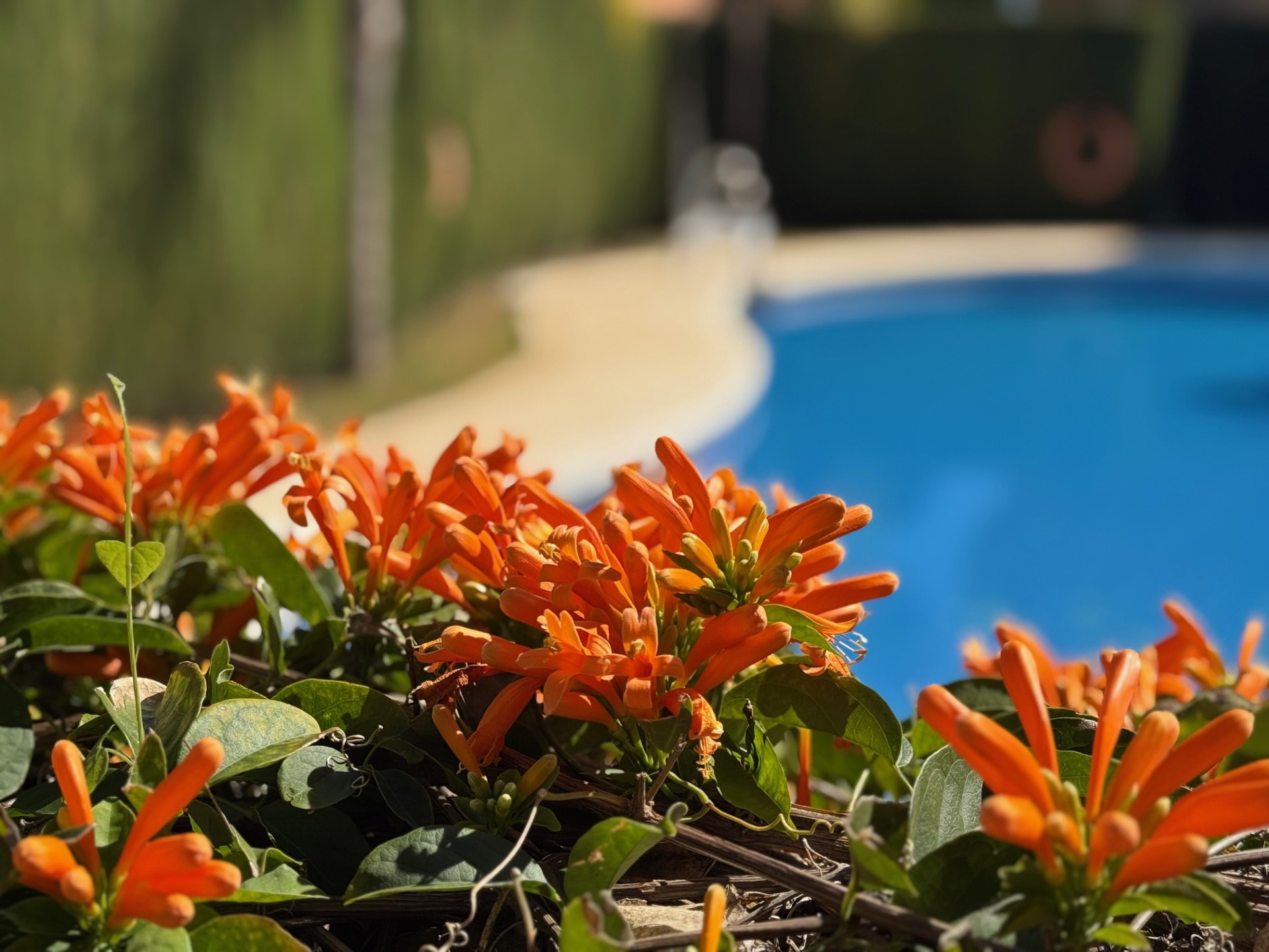 Corner townhouse in Estepona's Las Villas de Santa Maria gated community