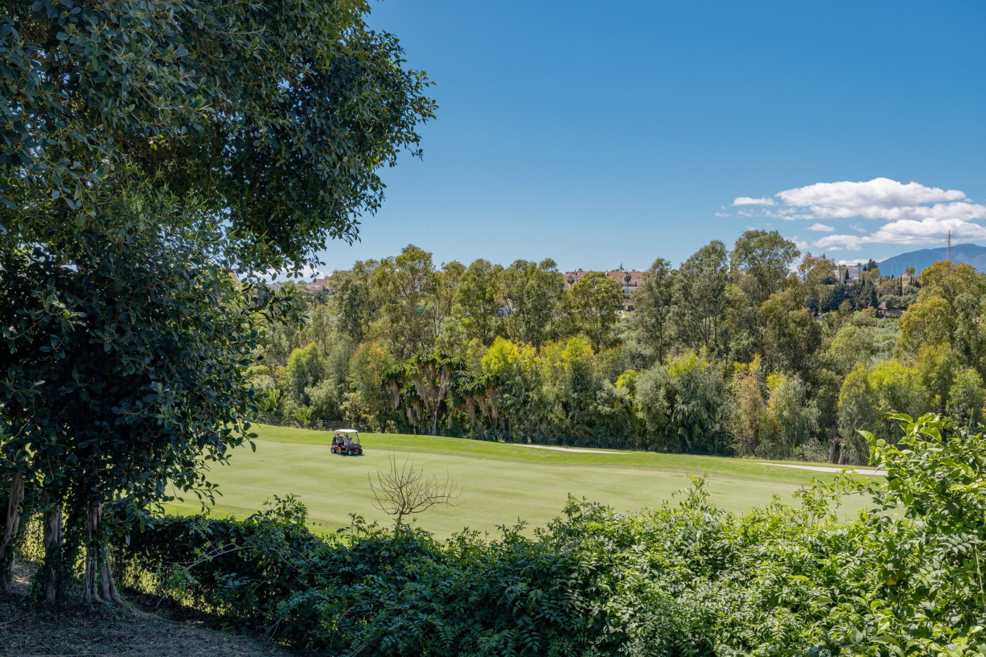 Residential front line golf plot in Guadalmina Alta with active license and project for a 597 m² villa.