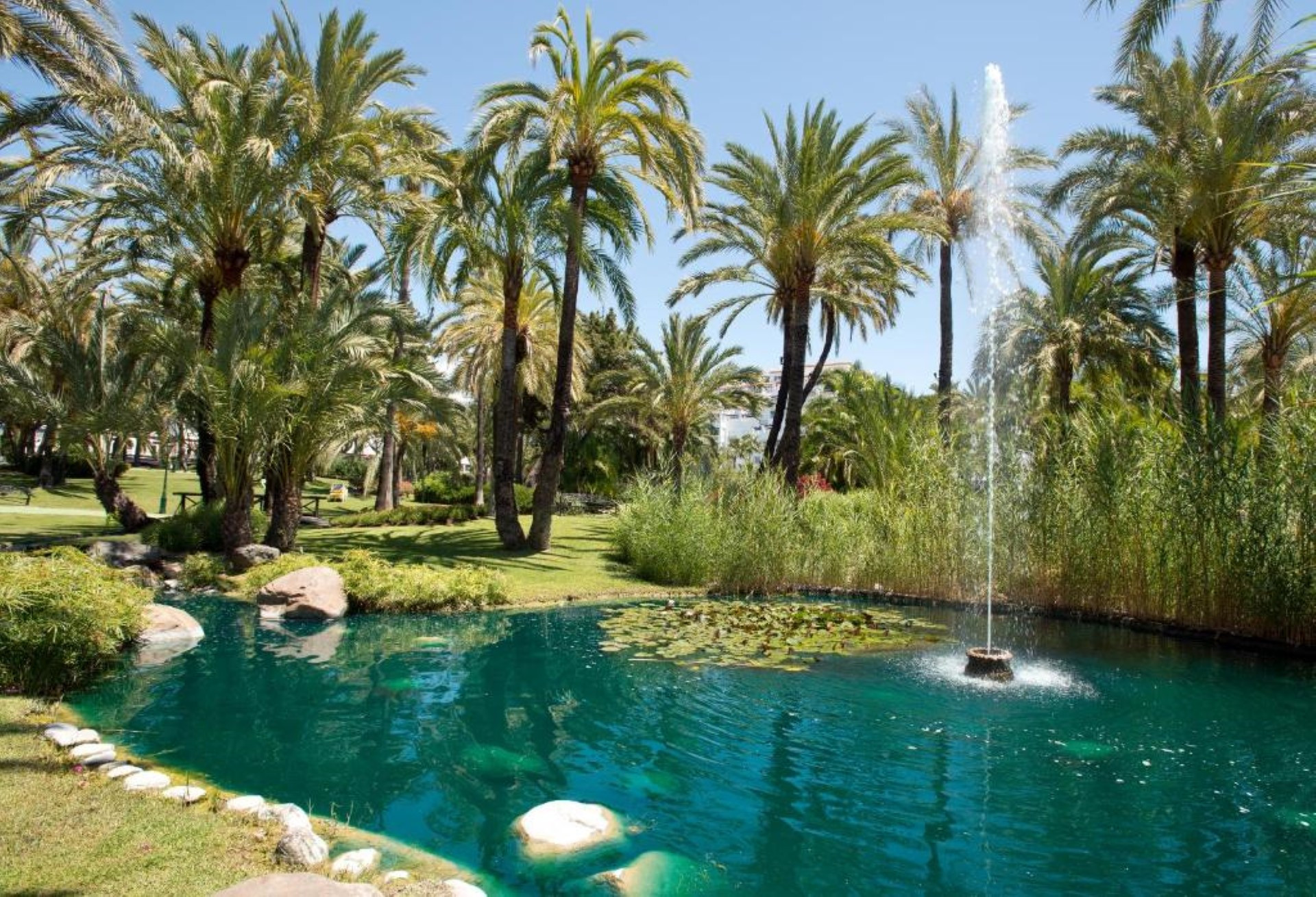 Frontline beach ground floor apartment in Playas del Duque, Puerto Banus
