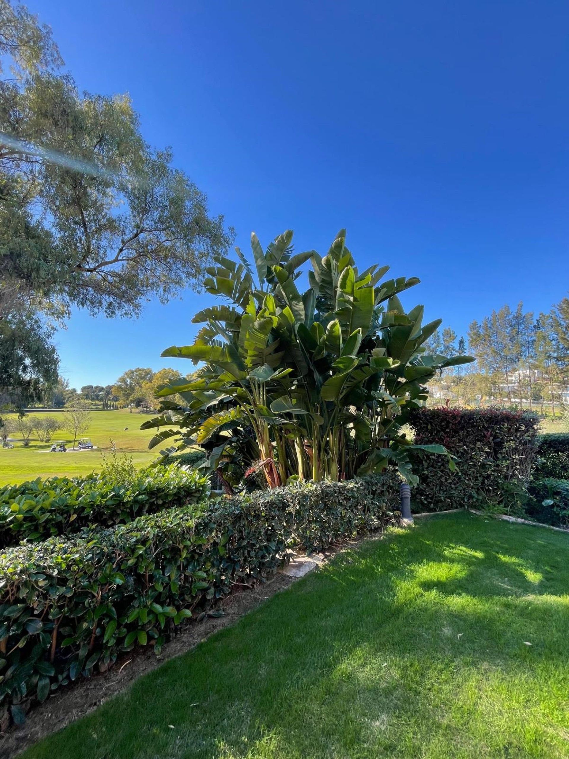 Fantástico apartamento de 2 dormitorios en Benatalaya, primera línea de golf