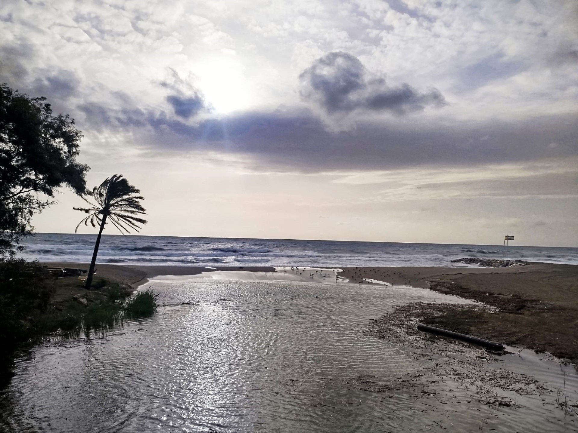 Ático de 2 dormitorios junto a la playa en Rio Verde Playa, Milla de Oro de Marbella