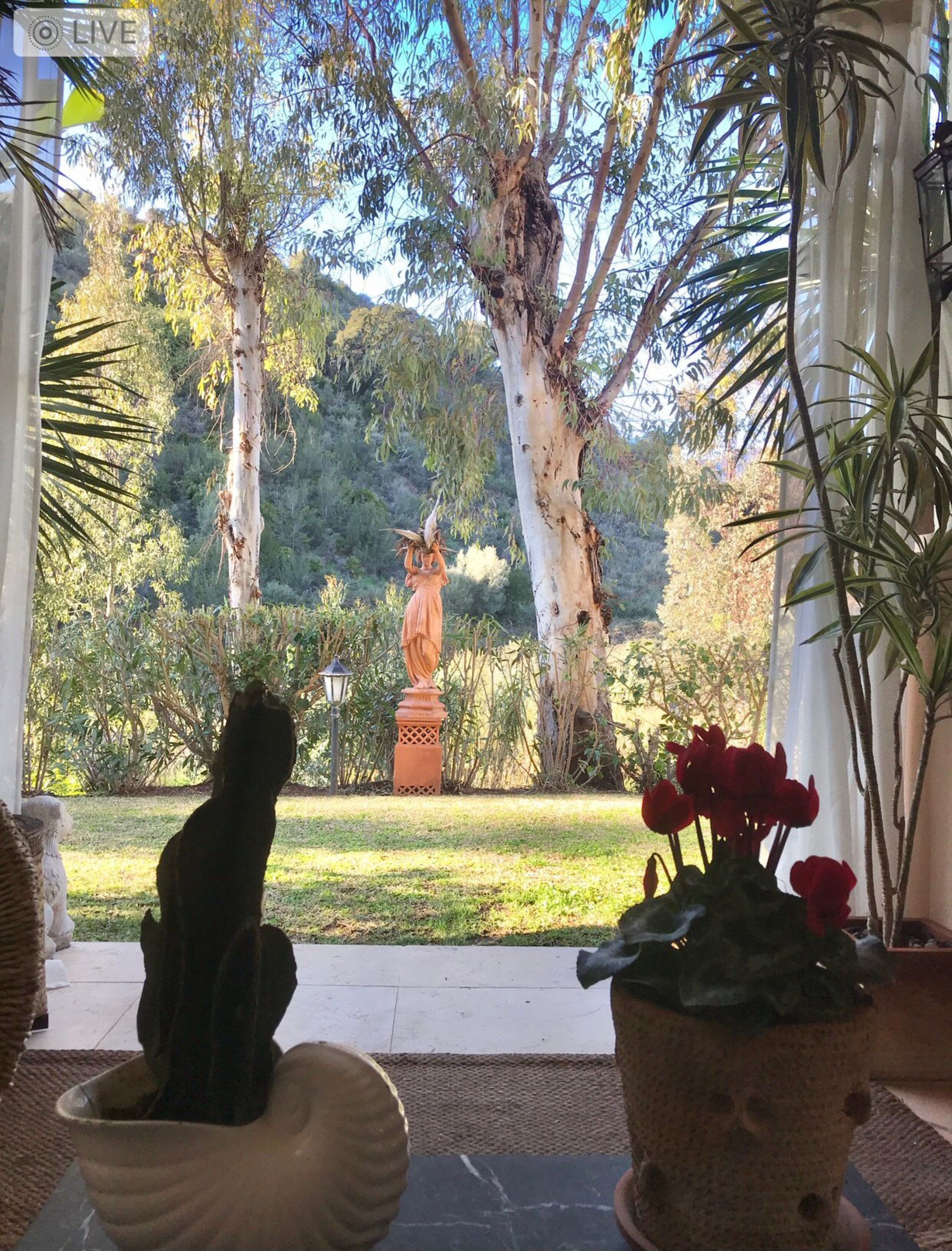 Ground Floor Apartment in Rio Real, Marbella