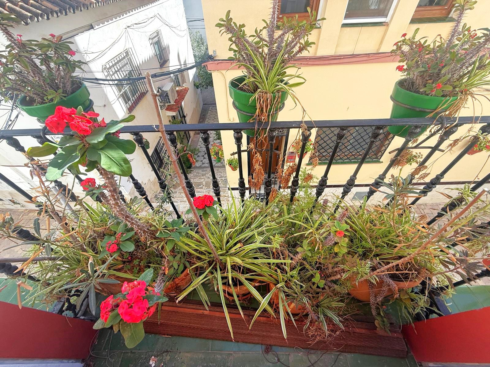 Apartment in Estepona - view 1