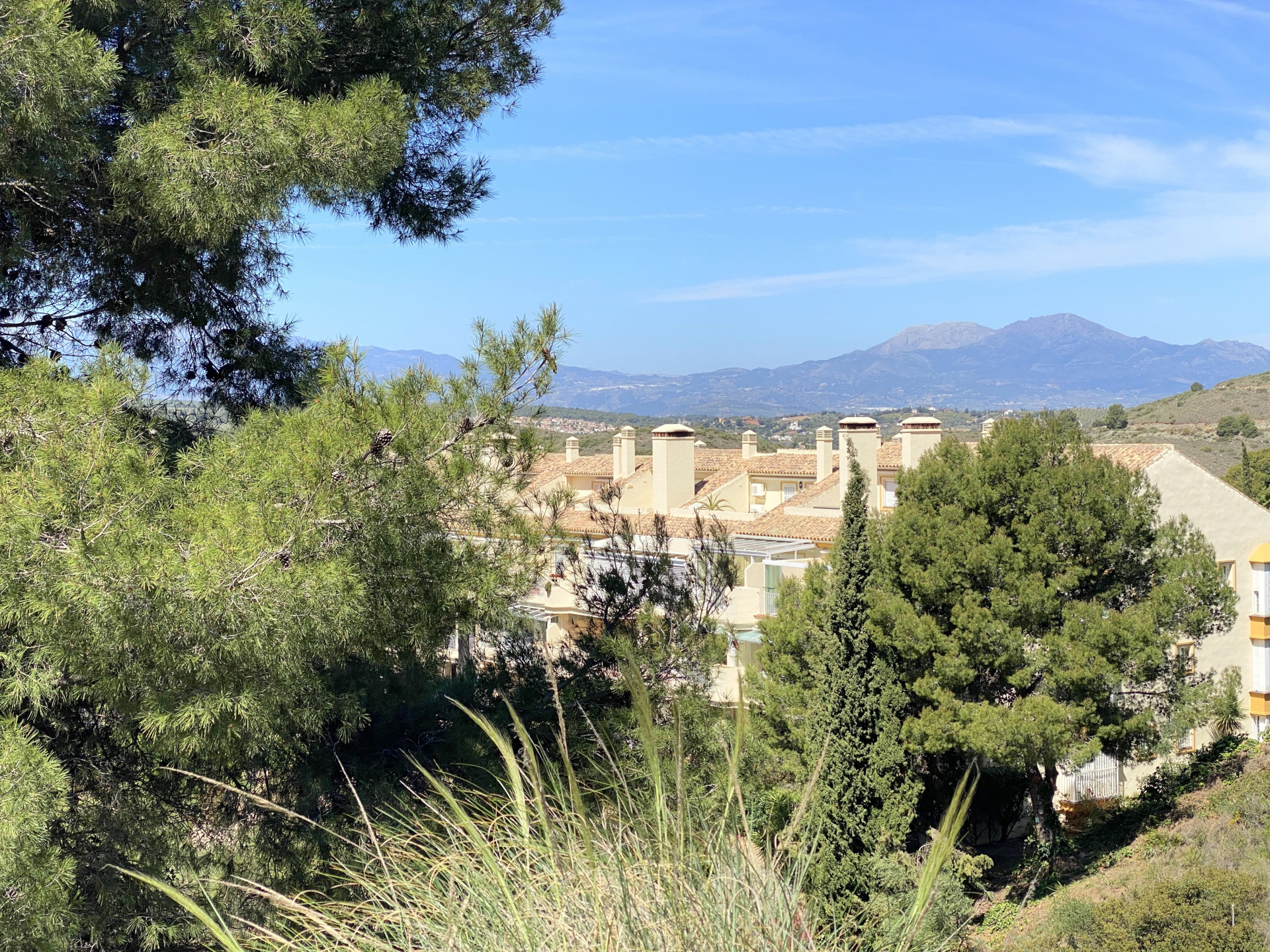 Land in Alhaurin el Grande - Image 4