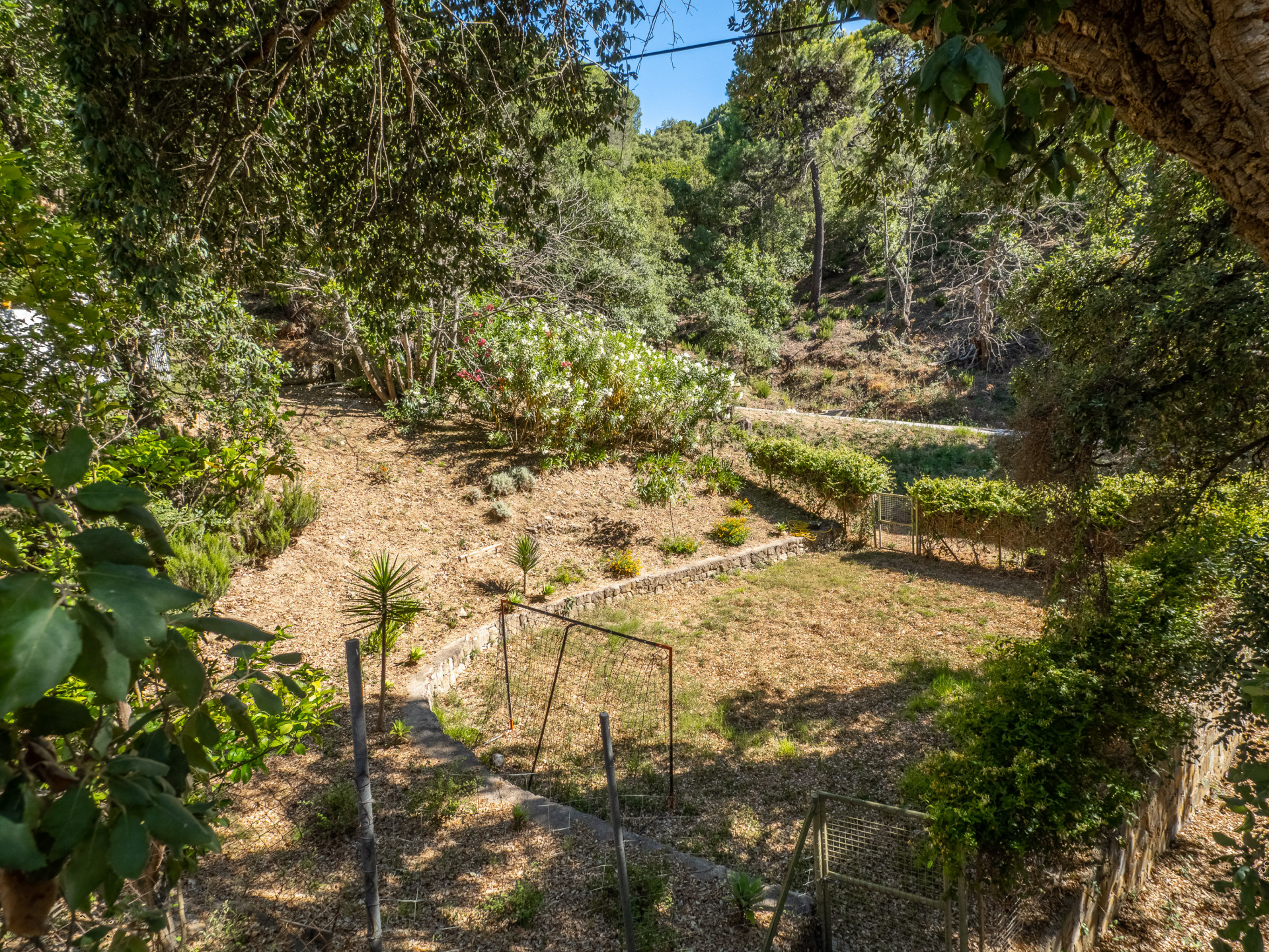 Villa in Casares - Image 3