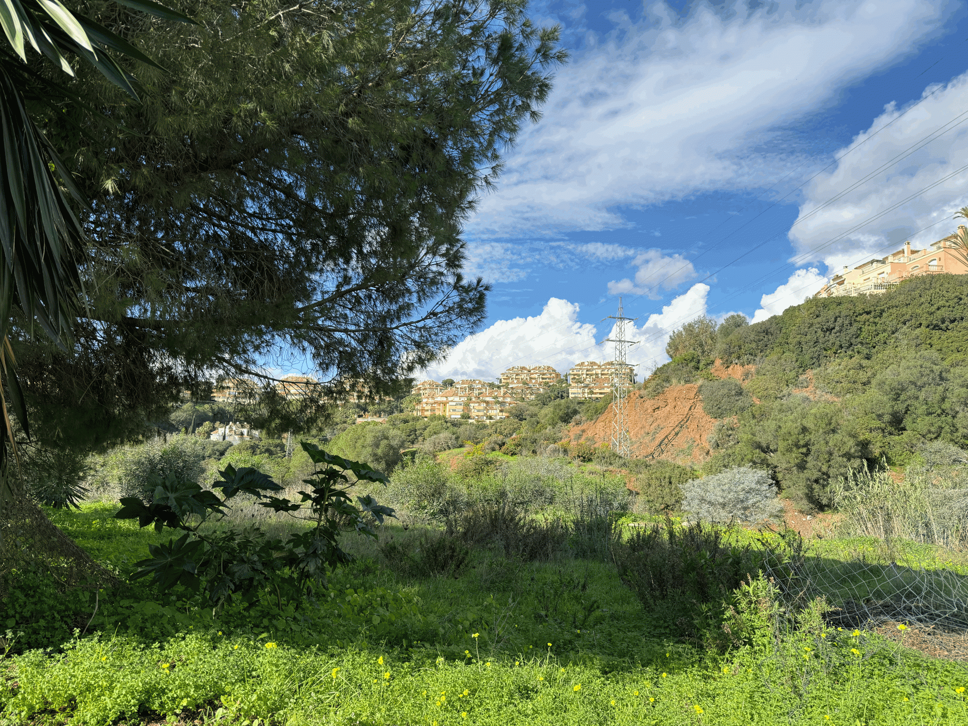 Land in Artola - Image 3
