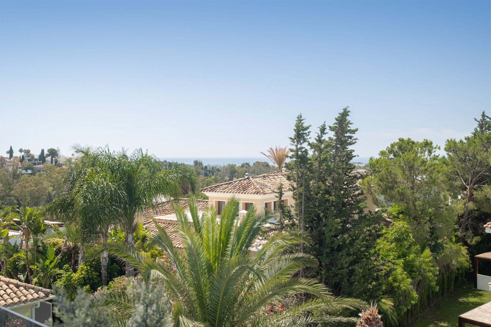 694d3ef7-39da-459d-9e04-b4cc549d1cbd.jpg