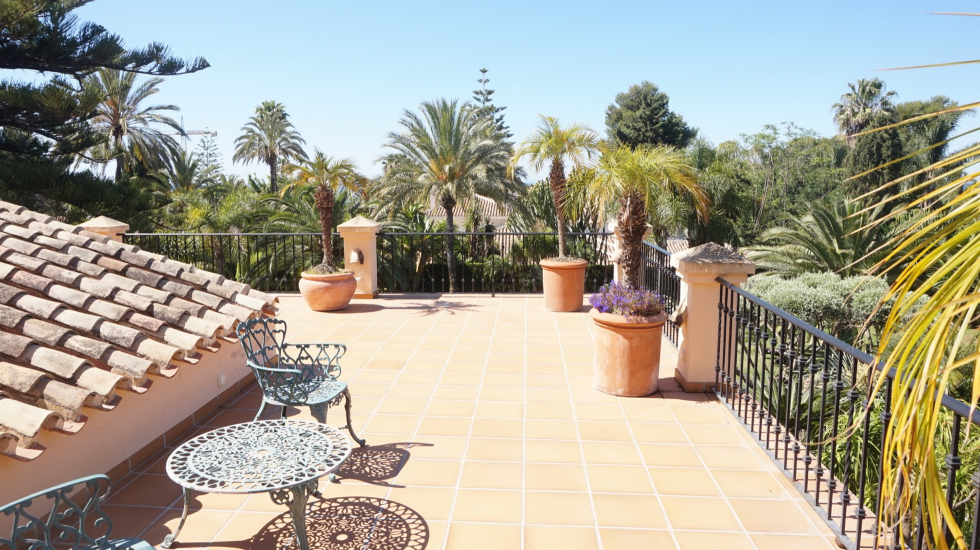 Propiedad gestionada por Los Monteros Rio Real 398-00003P_11441741.jpg
