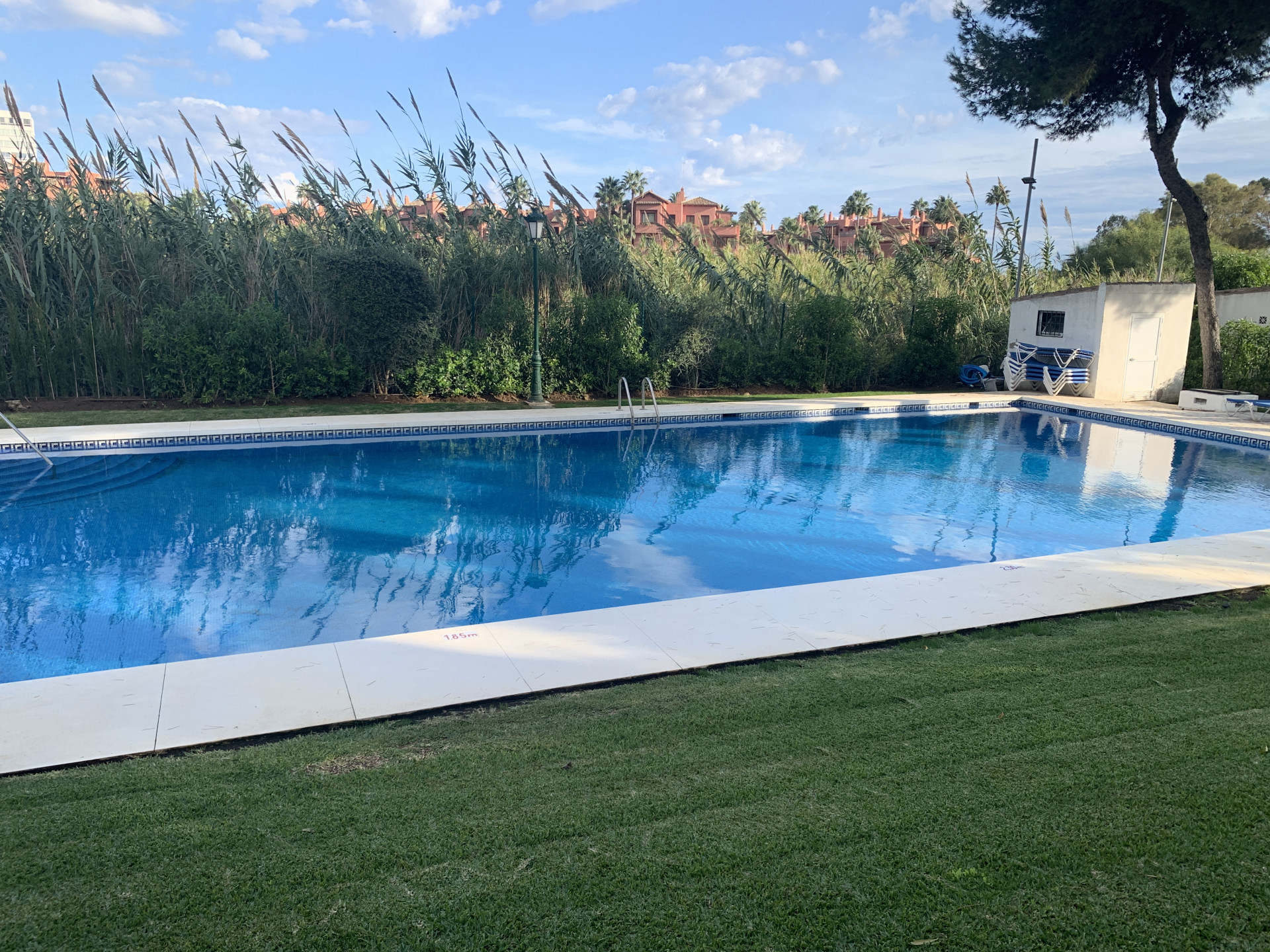 Propiedad gestionada por Los Monteros Rio Real 398-00002P_11440352.jpg