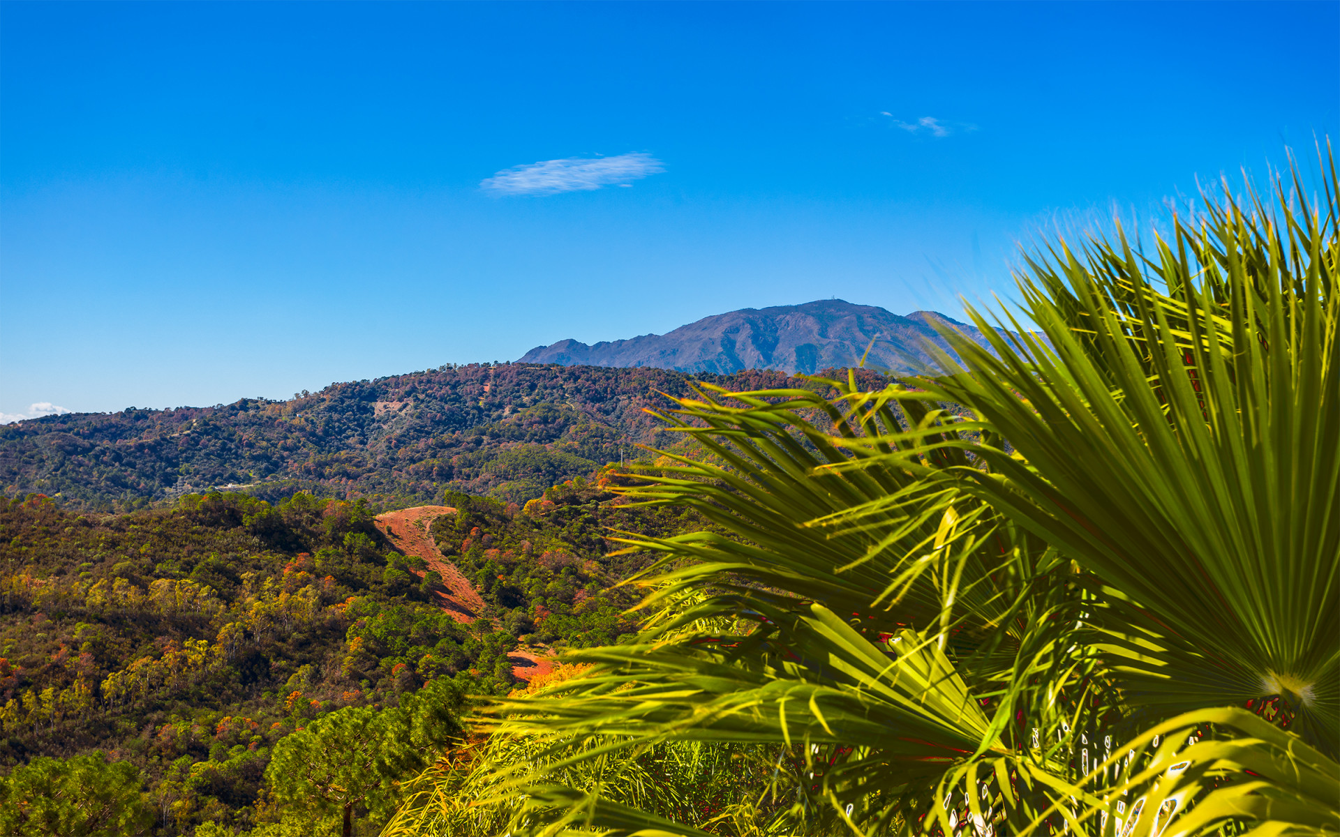 Stunning brand-new 4/5 bedroom penthouse in the hills in Benahavis