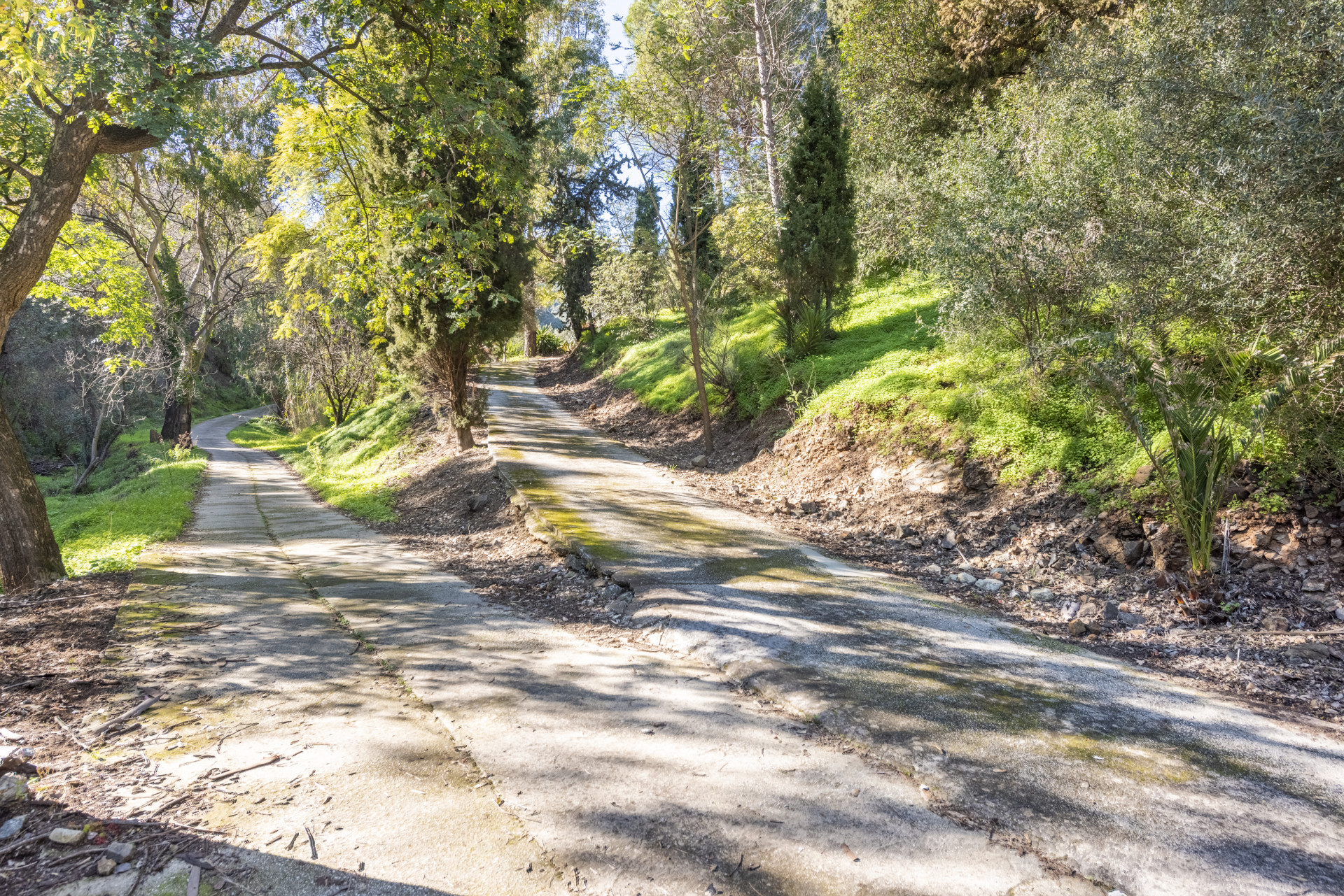 Two villas ons a large plot in Benahavis in Benahavis