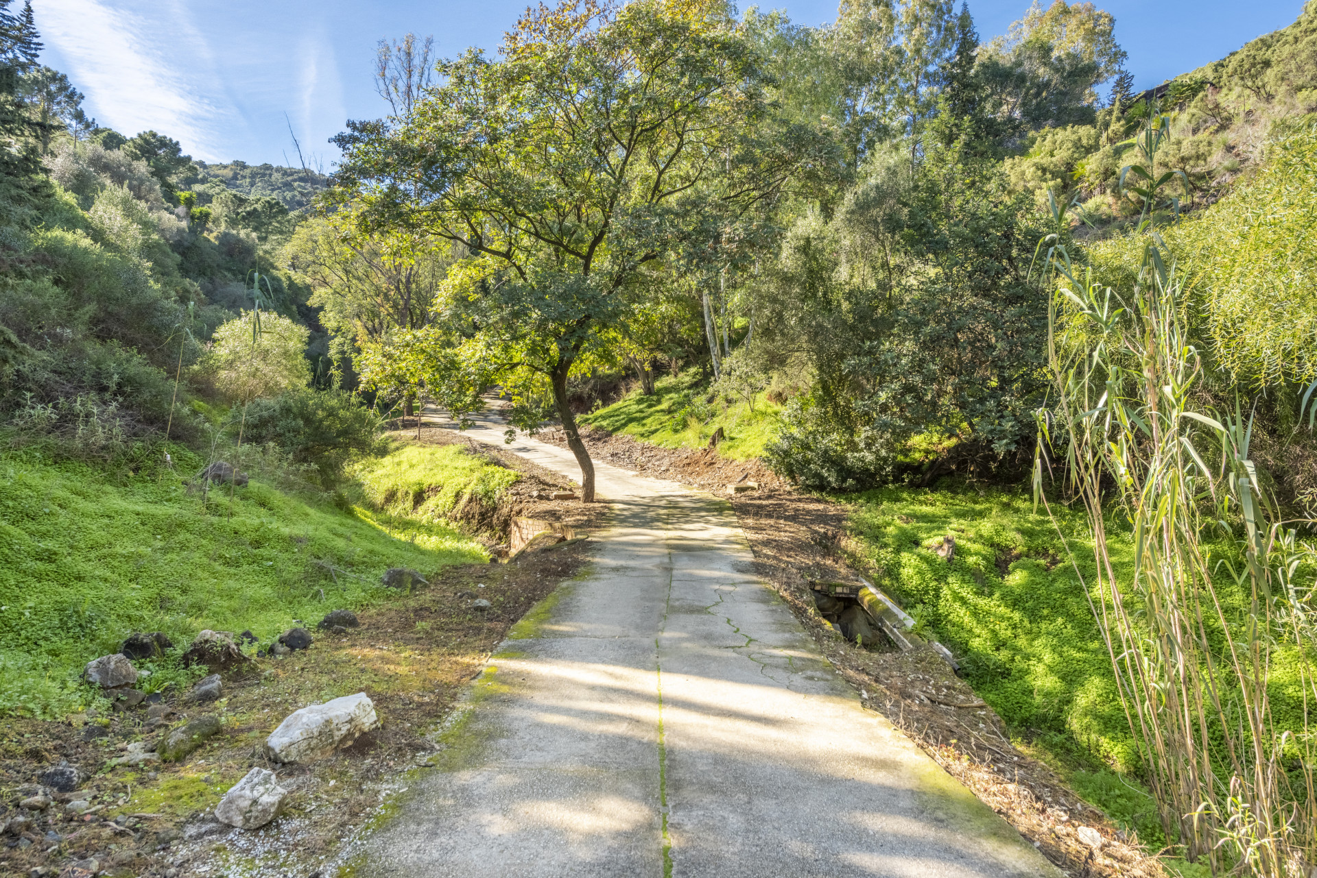 Deux villas sur un grand terrain à Benahavis à Benahavis