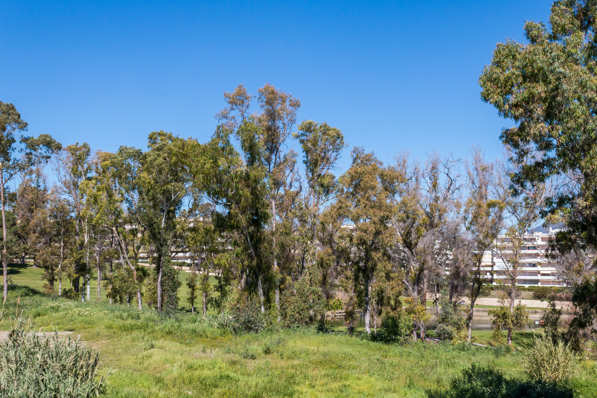 Art Deco пентхаус с 3 спальнями и частным бассейном в Terrazas del Guadalmina Alta. в San Pedro de Alcantara