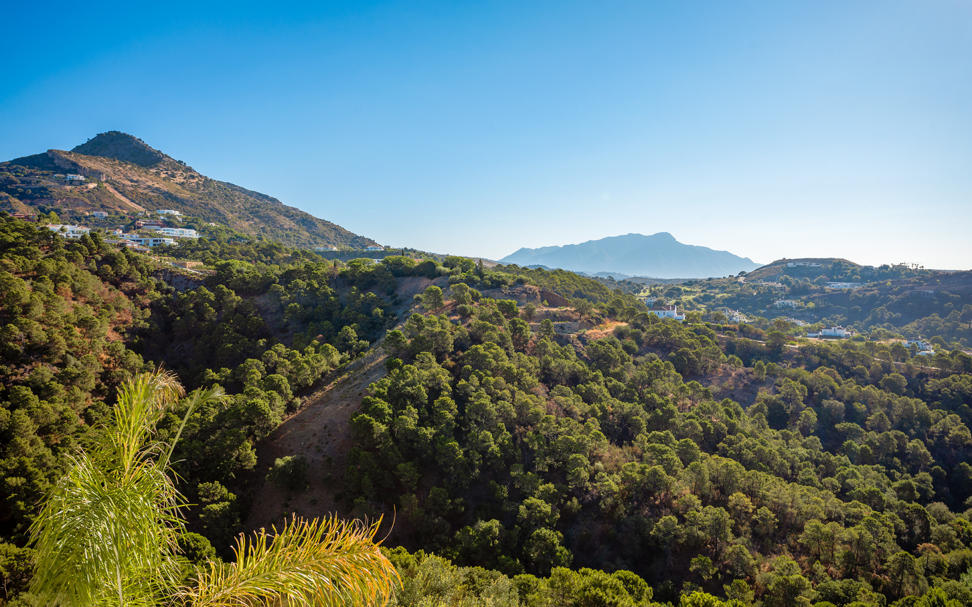 Villa moderne récemment achevée offrant une vue dégagée sur la verdure à Monte Mayor à Benahavis