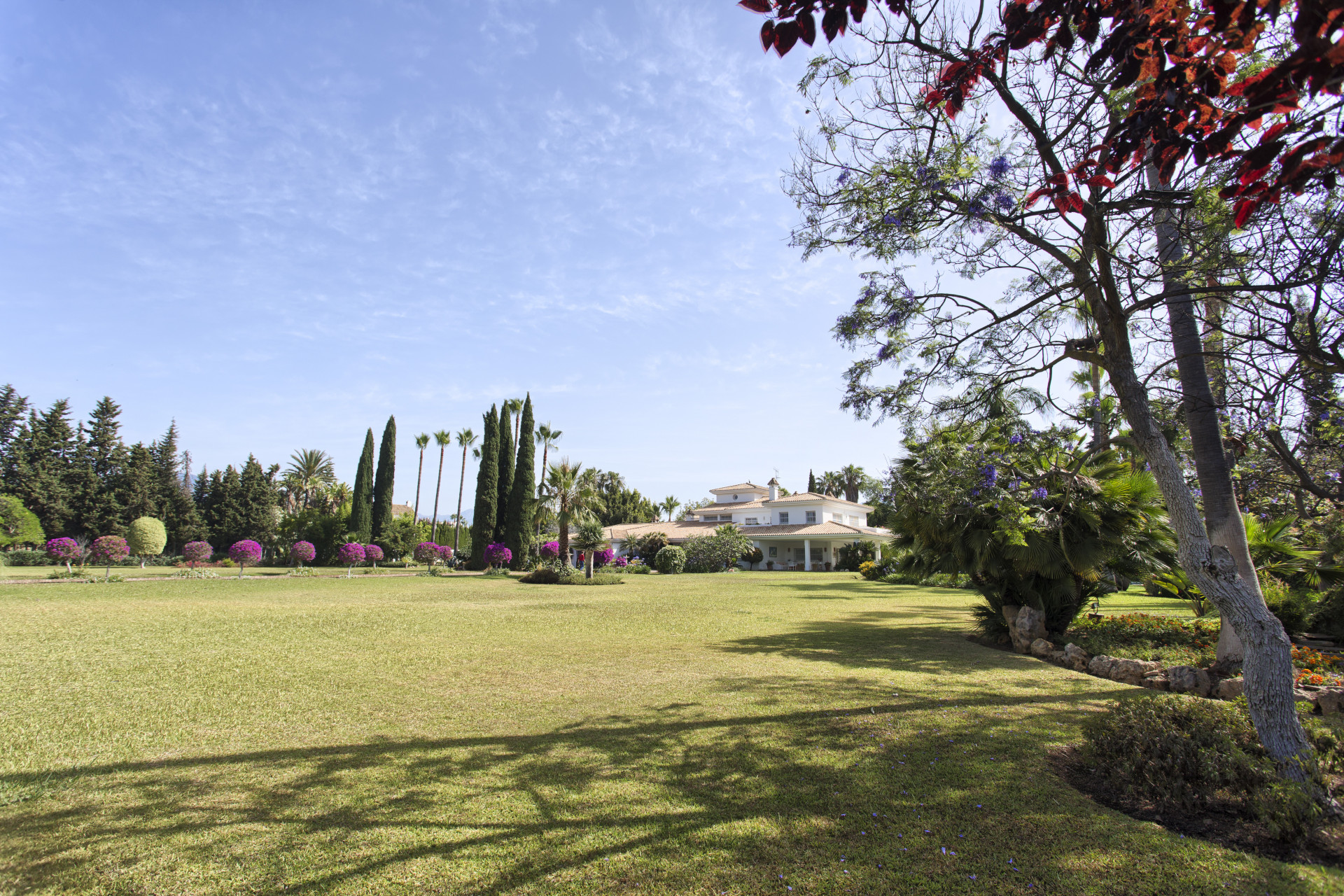 Classical-style beachside villa with open views in Guadalmina Baja in San Pedro de Alcantara
