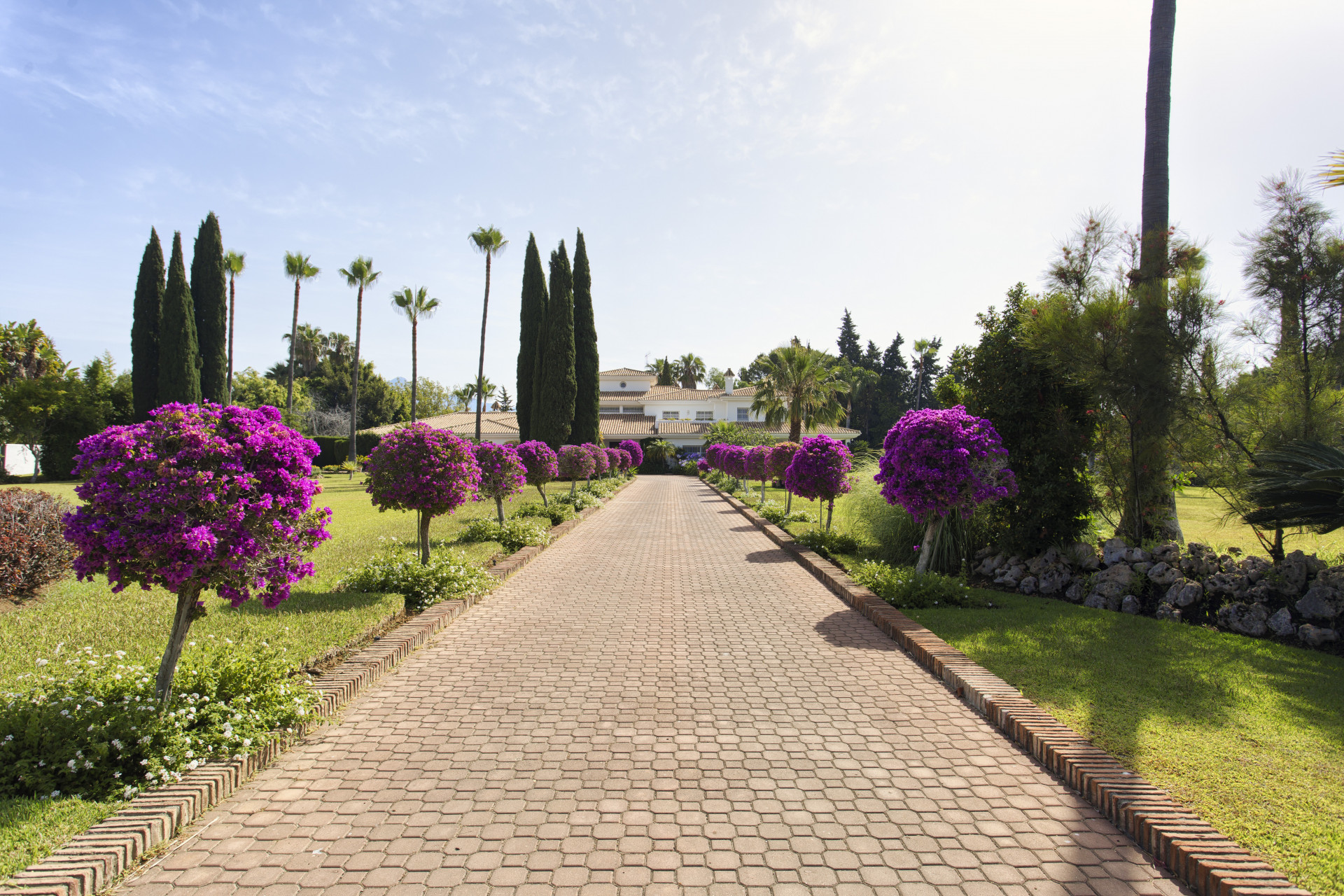 Classical-style beachside villa with open views in Guadalmina Baja in San Pedro de Alcantara