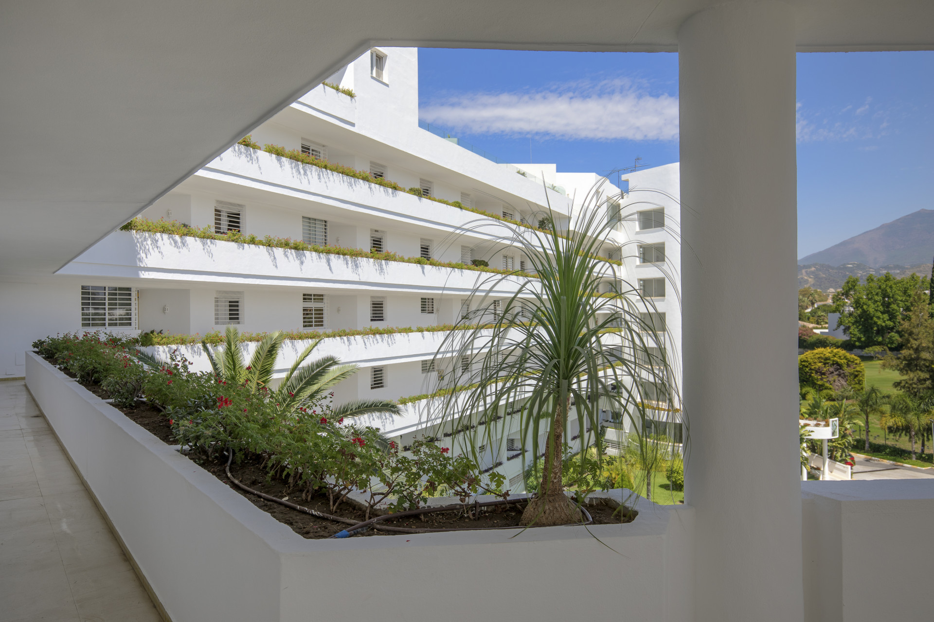 Spacious 3 bedroom apartment with beautiful views. in San Pedro de Alcantara