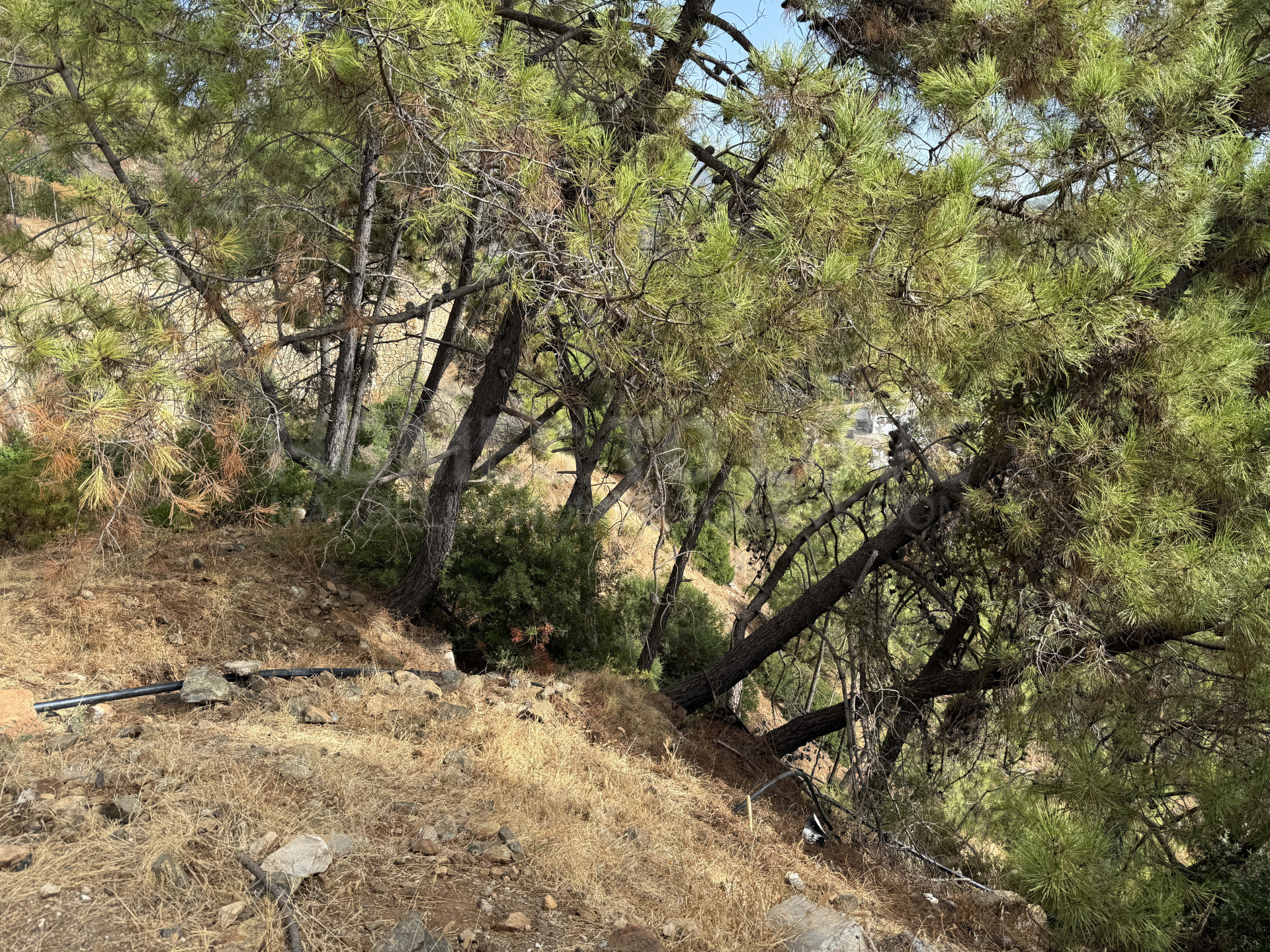 Oportunidad única en Benahavís – 2 parcelas urbanas con gran potencial futuro con Vistas Espectaculares