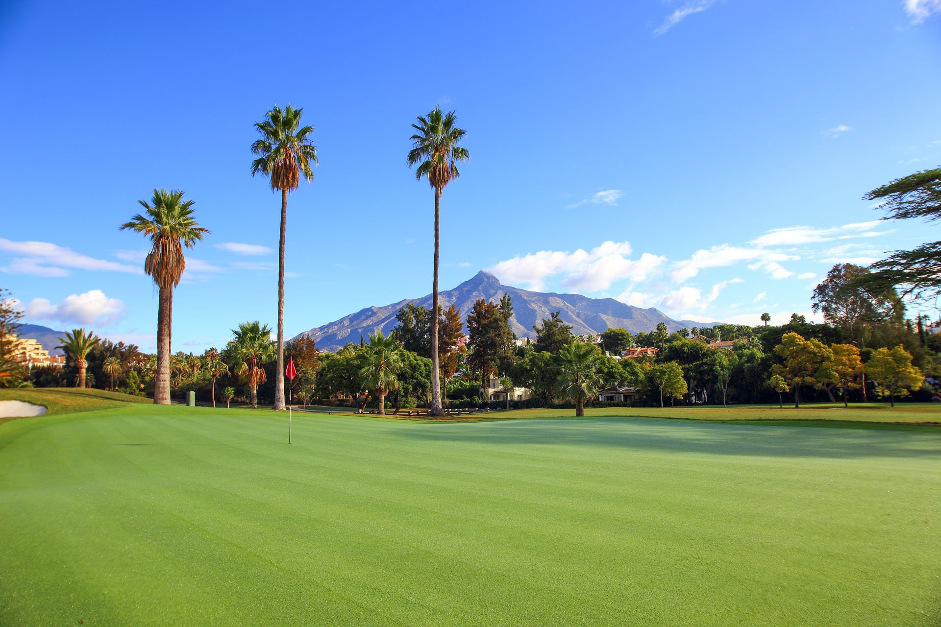 Exceptional Renovated Luxury Villa with Tourist Licence in Parcelas del Golf, Nueva Andalucía