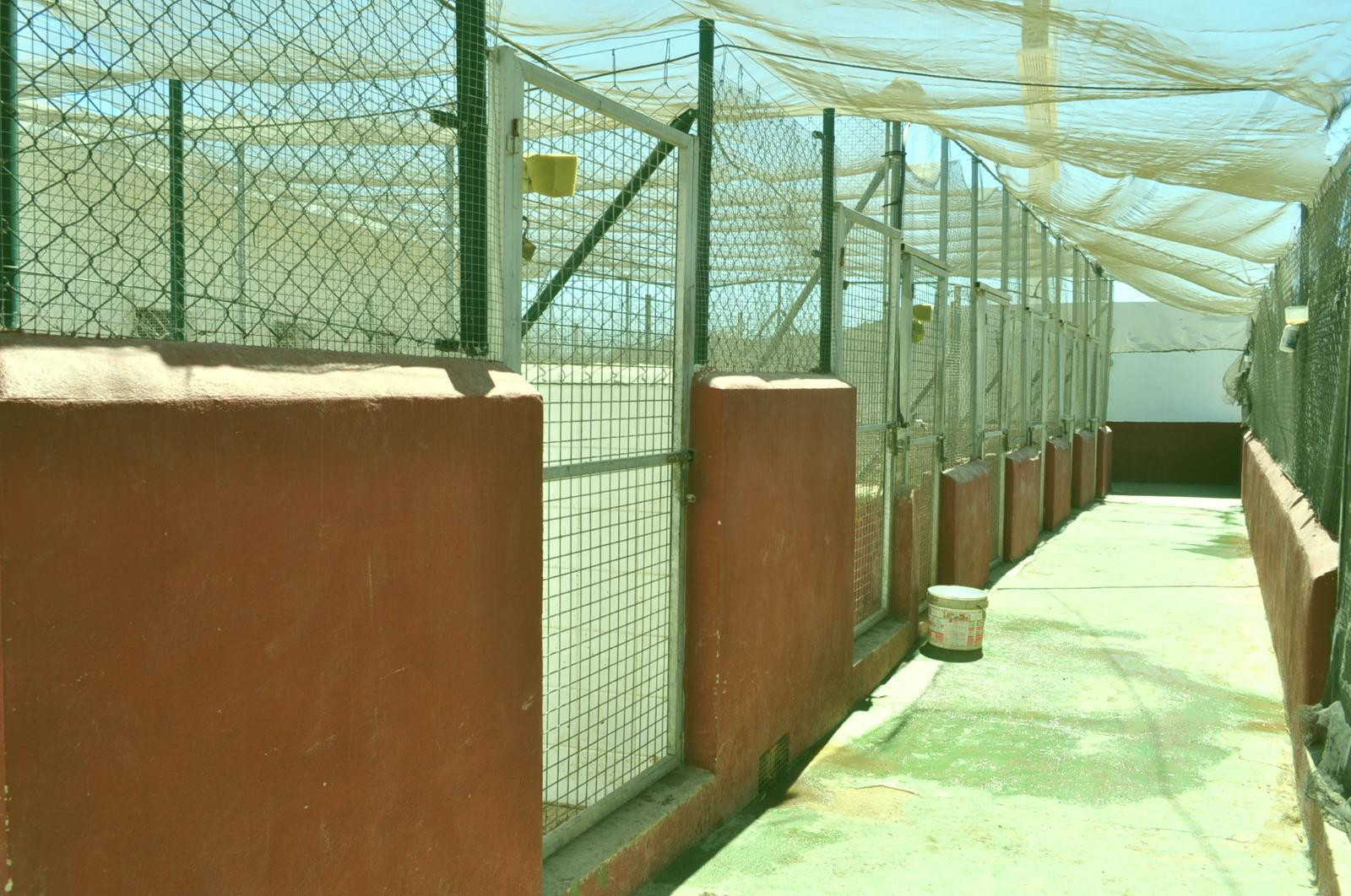 Rustic land with zoo license