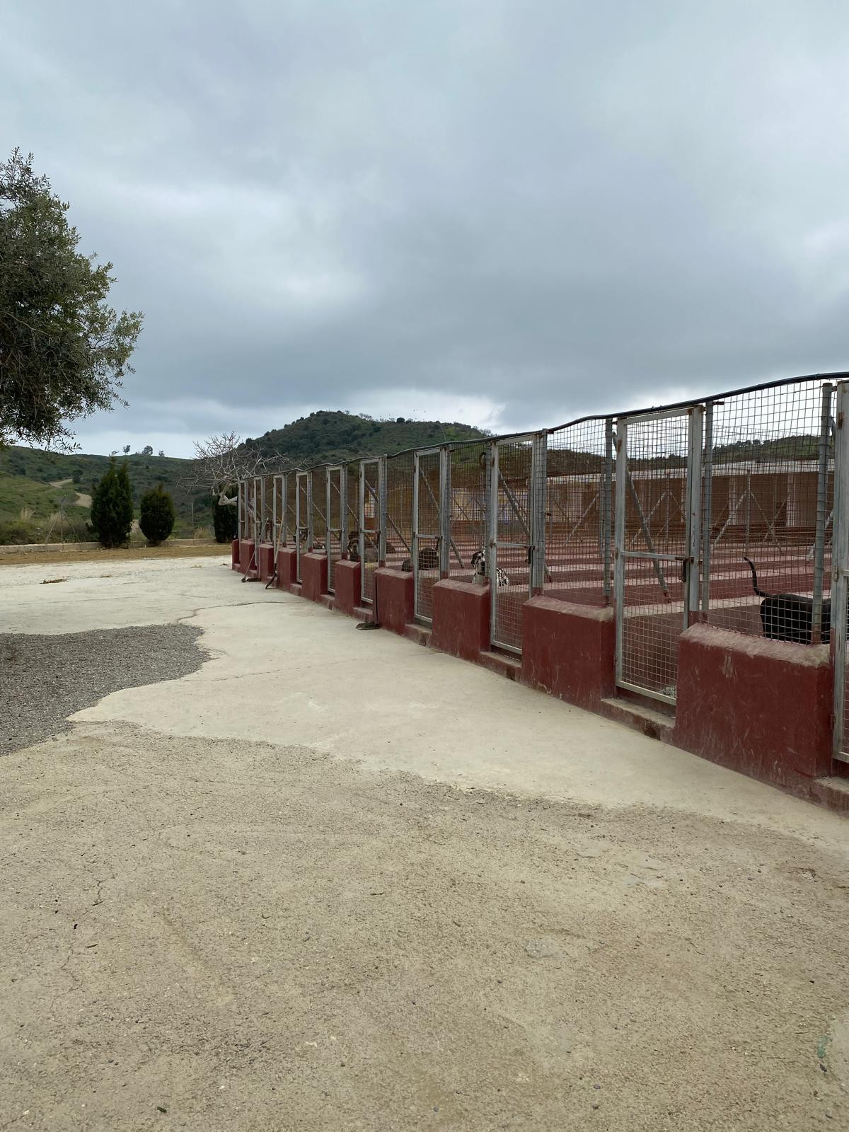 Rustic land with zoo license