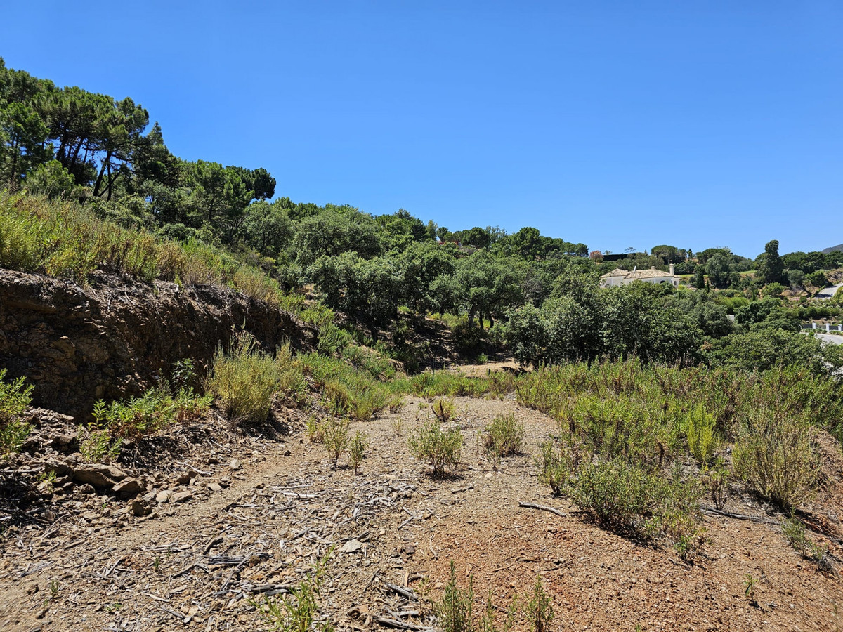 Parcela excepcional en La Zagaleta – Tranquilidad, naturaleza y lujo