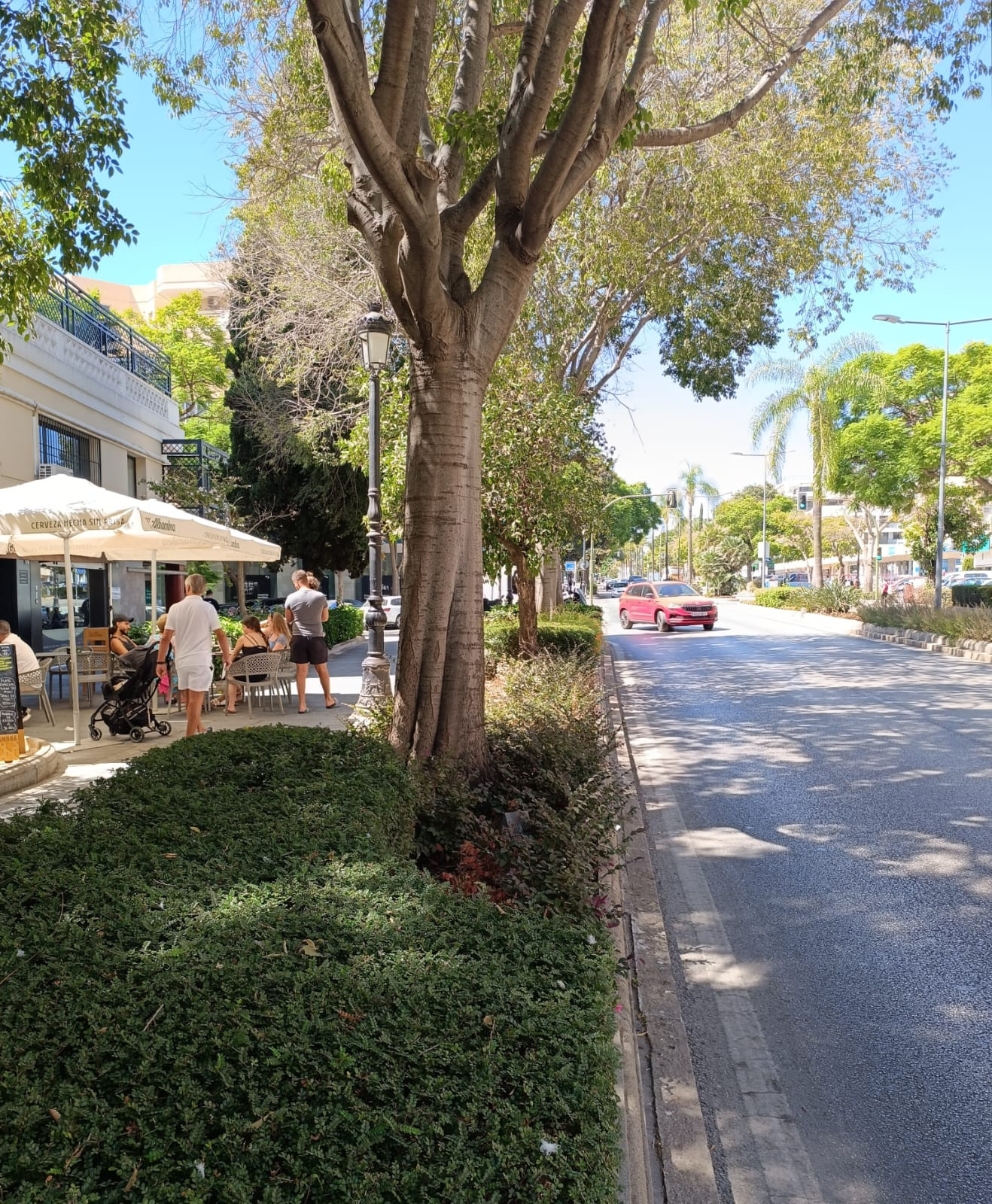 Office for Sale in Ricardo Soriano, Marbella