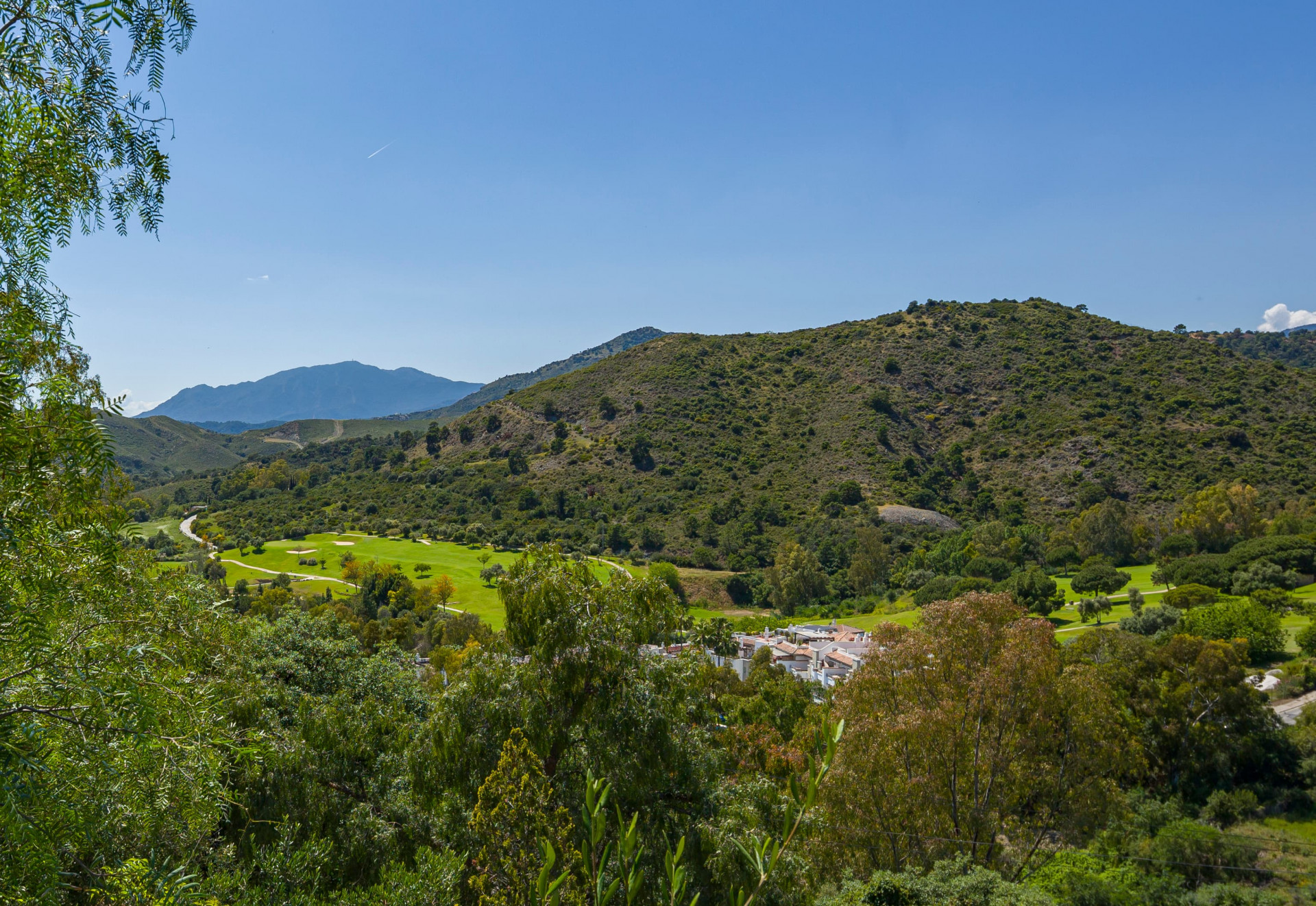 KSSIR-23899P_14168117.jpg