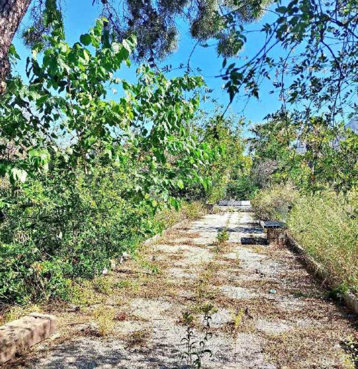 Gran parcela en Oro de Marbella Mile se ha fijado para la renovación.