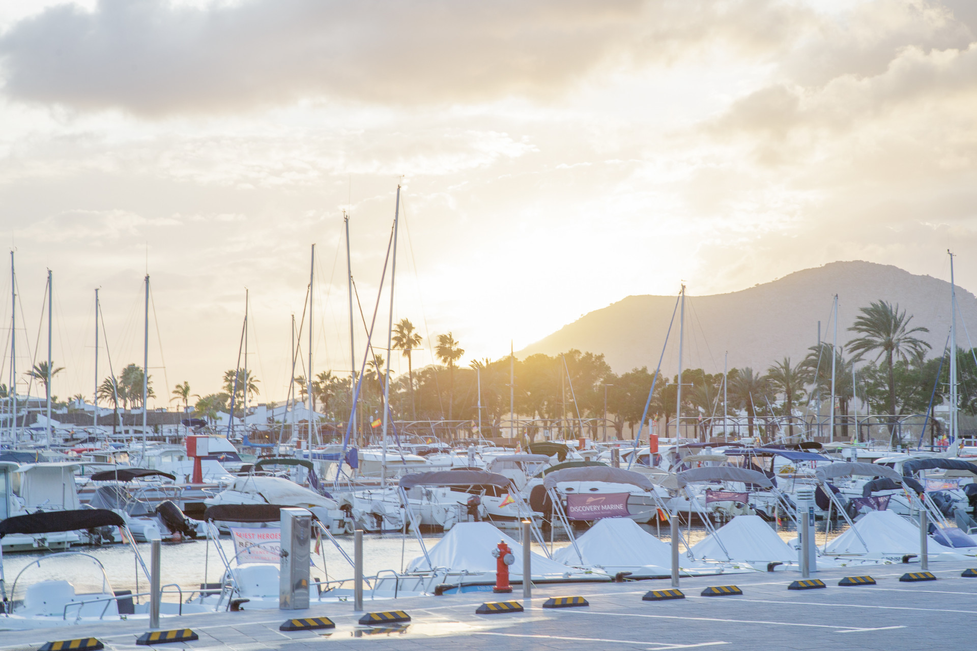 Apartment in Puerto de Alcudia