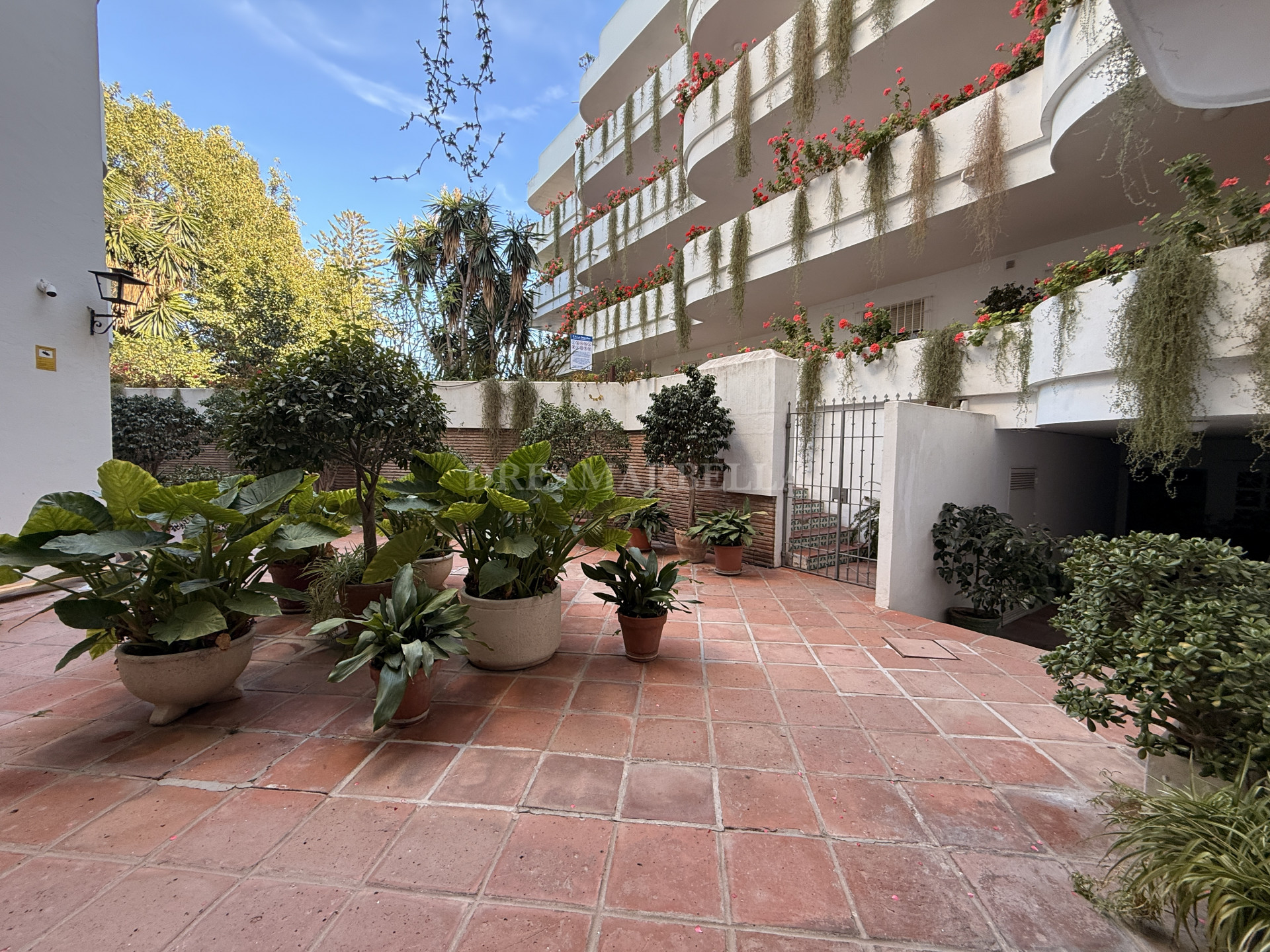 Ground Floor Apartment in Nueva Andalucia