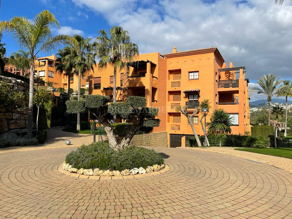 Penthouse in Gazules del Sol