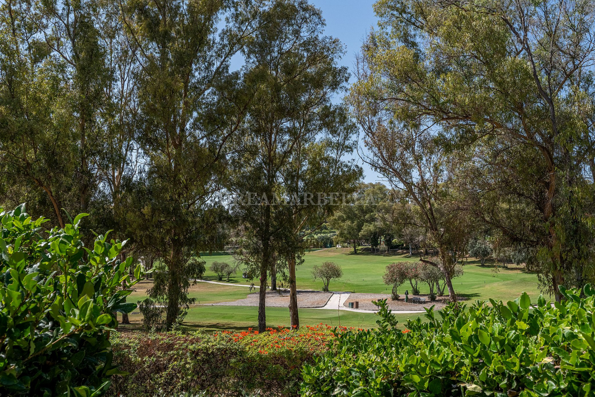 Ground Floor Apartment in Estepona East