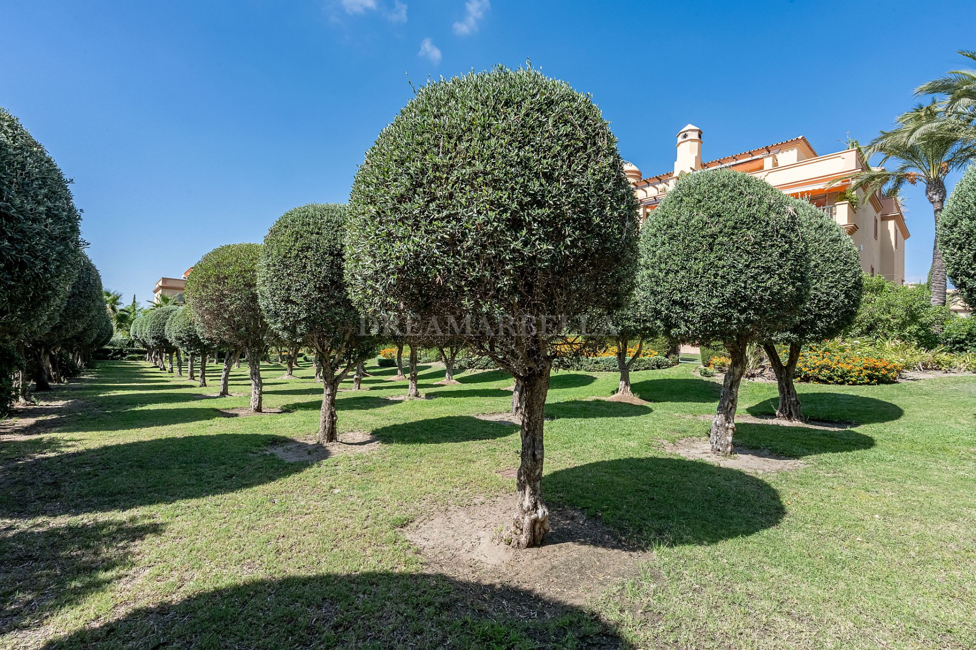 Ground Floor Apartment in Los Flamingos