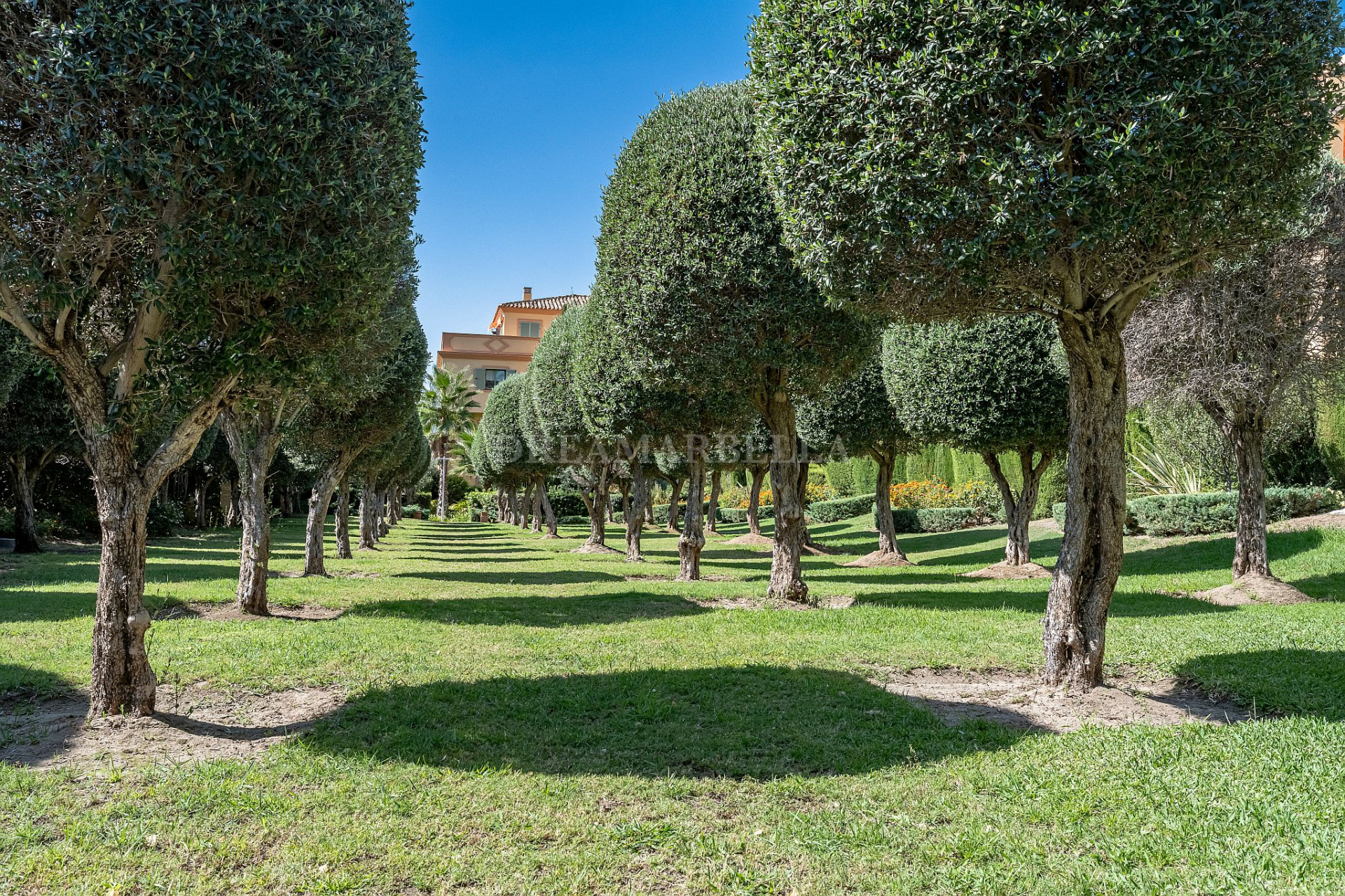 Ground Floor Apartment in Los Flamingos