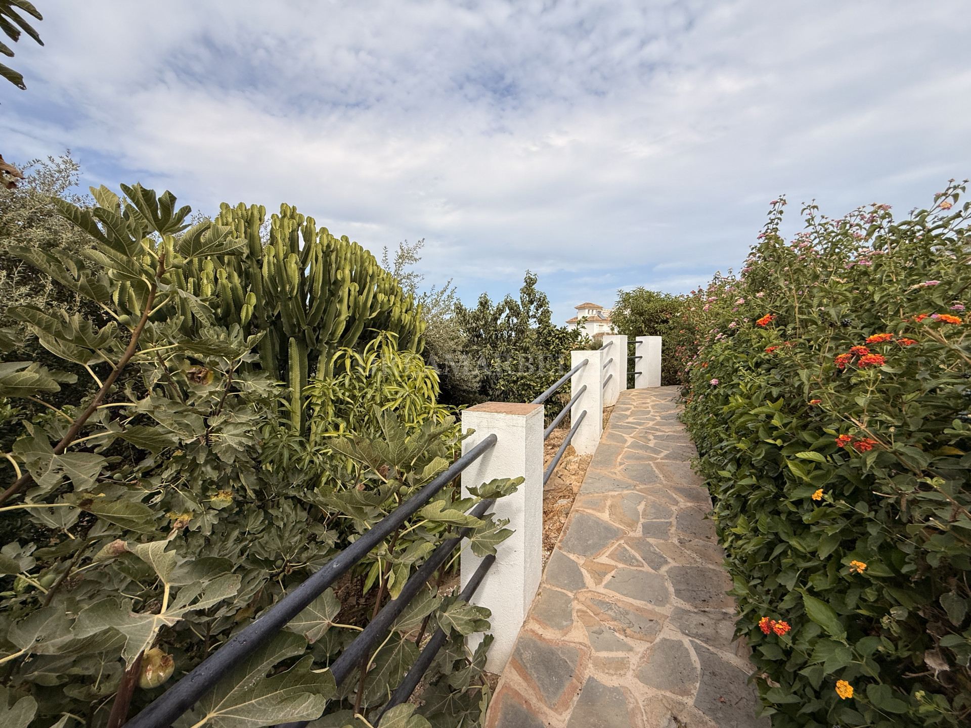 Town House in Princesa Kristina
