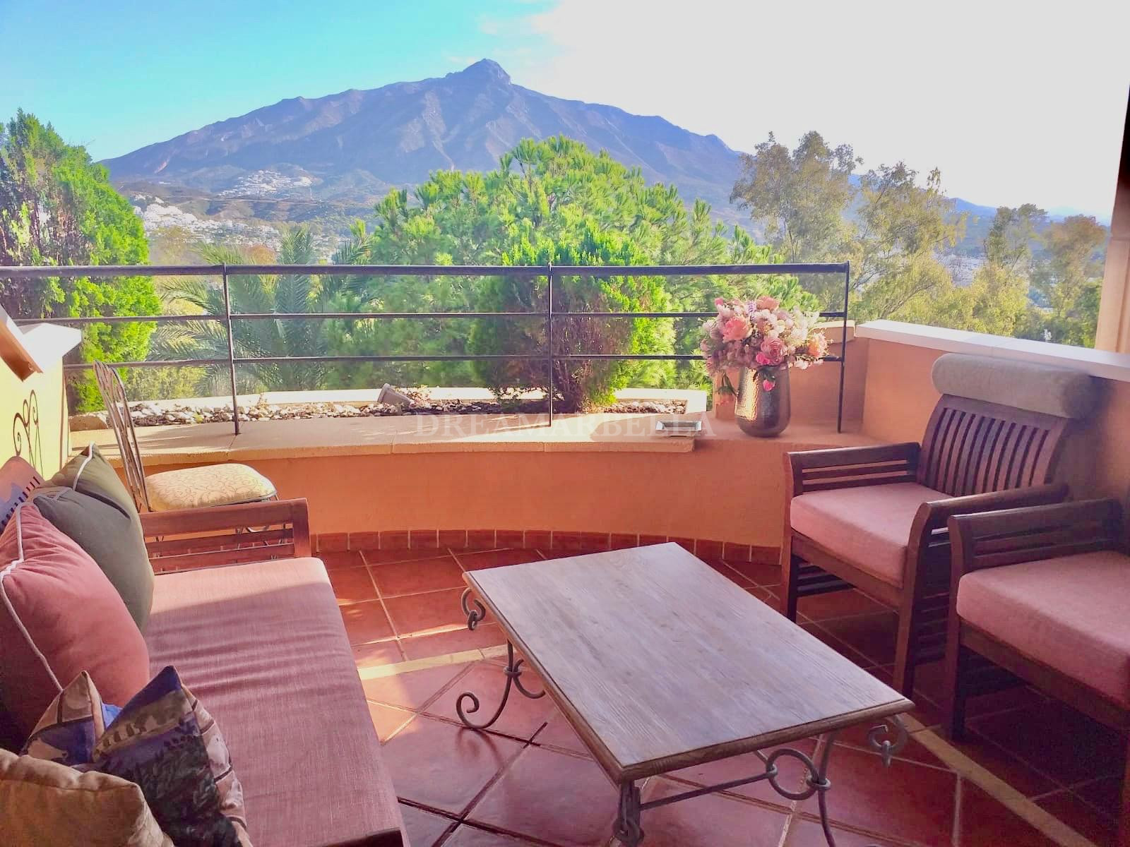 Apartment in Nueva Andalucia