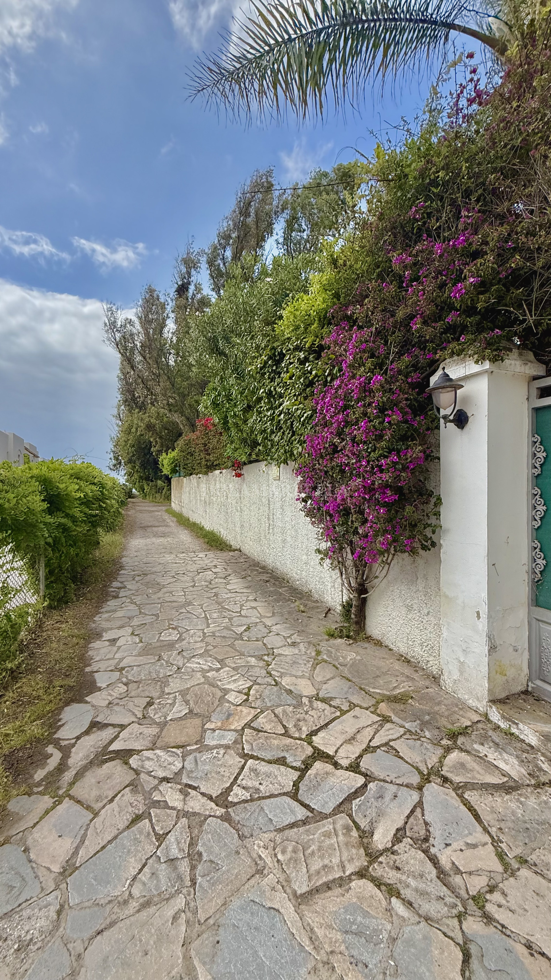 Chalet in Estepona East