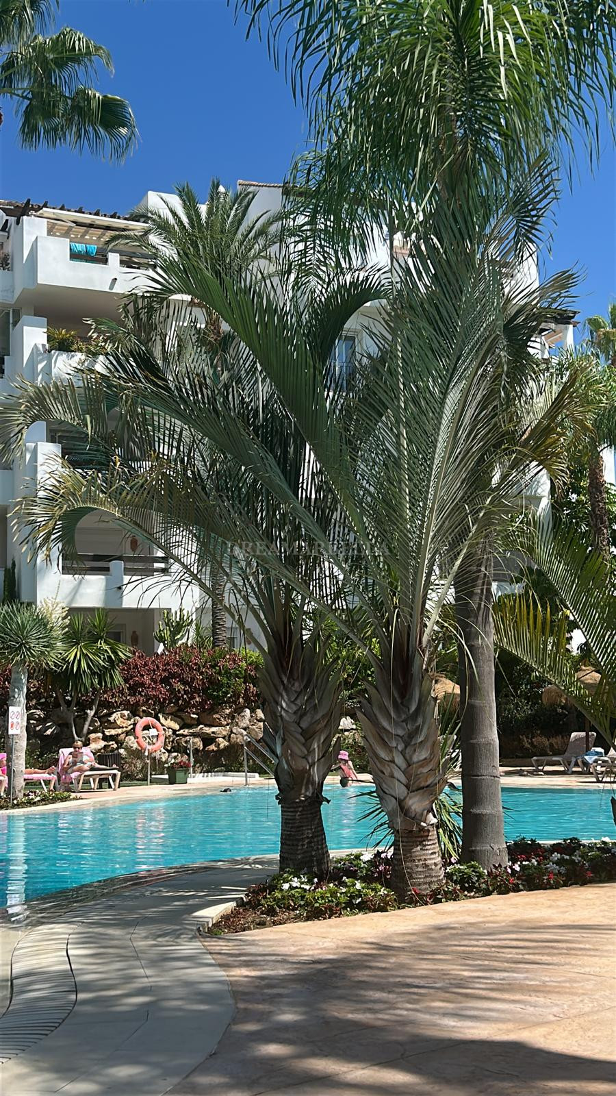 Apartment in Estepona East