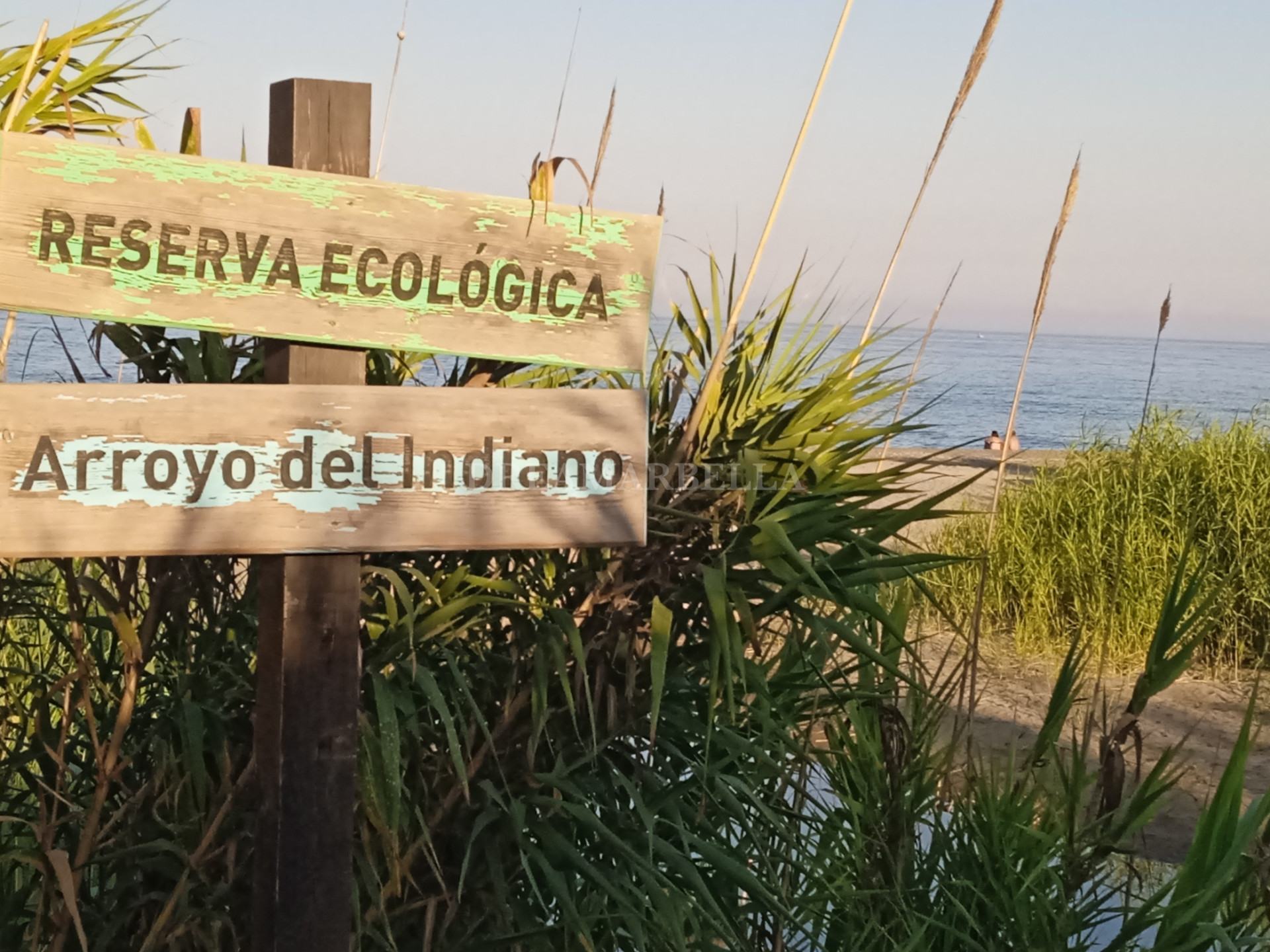 Apartment in Manilva Beach
