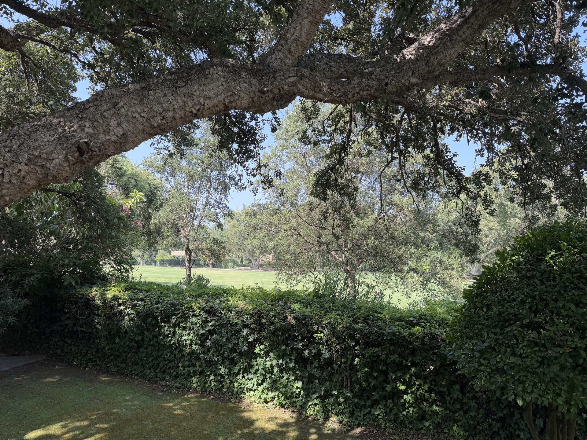 villa in Sotogrande Costa — frame 8