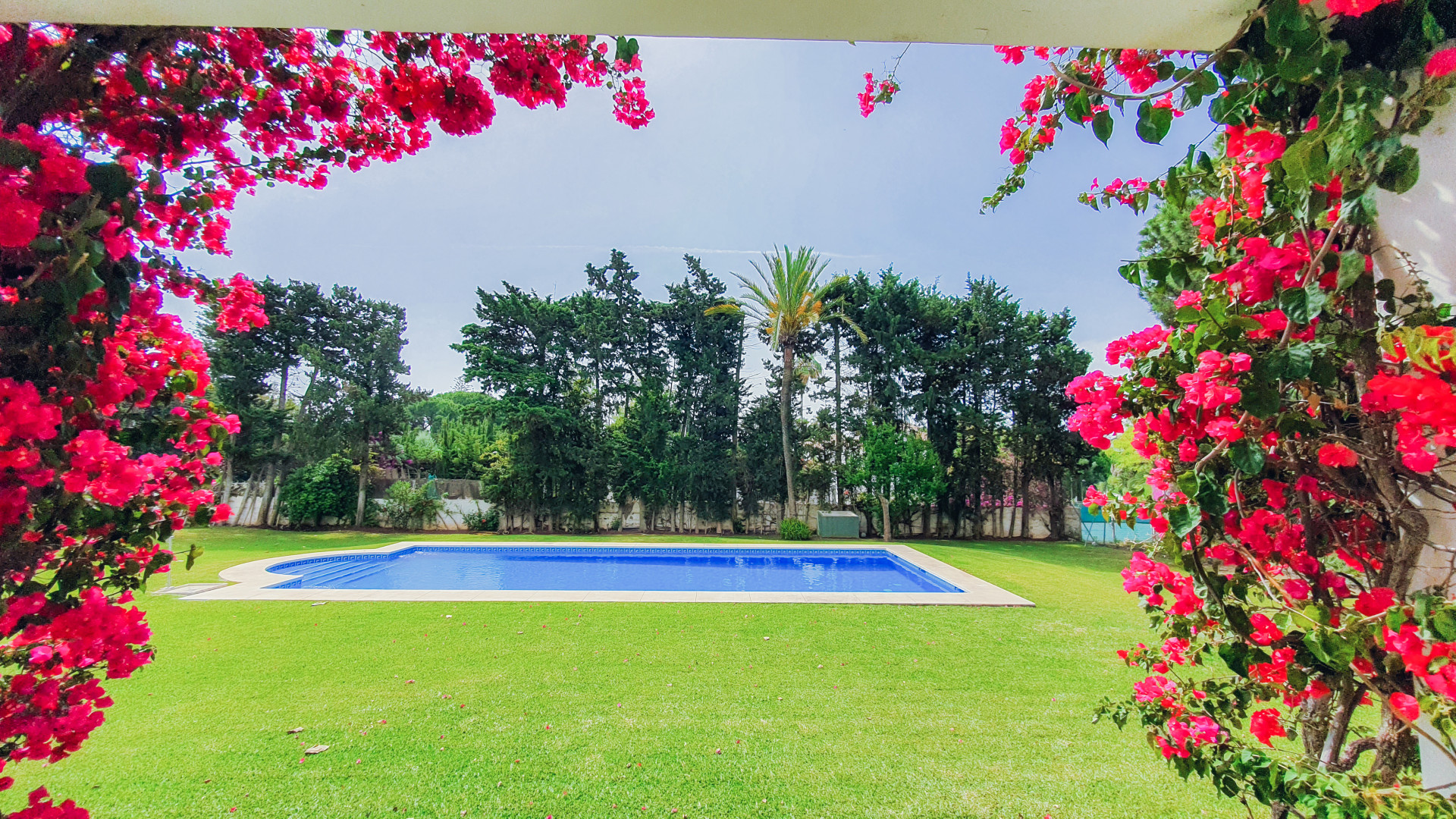 House for rent in Guadalmina Baja, San Pedro de Alcantara