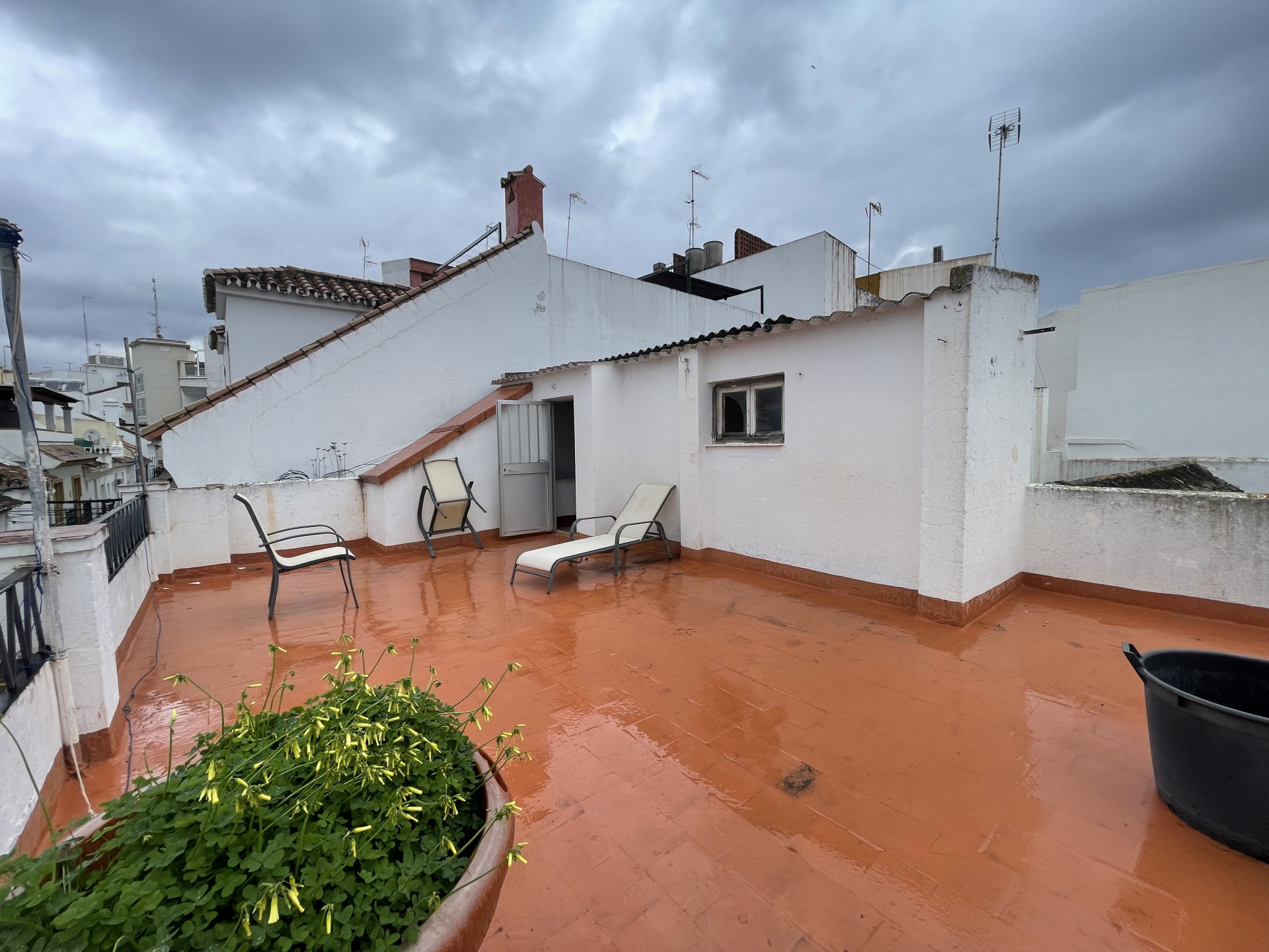 House in Estepona Town